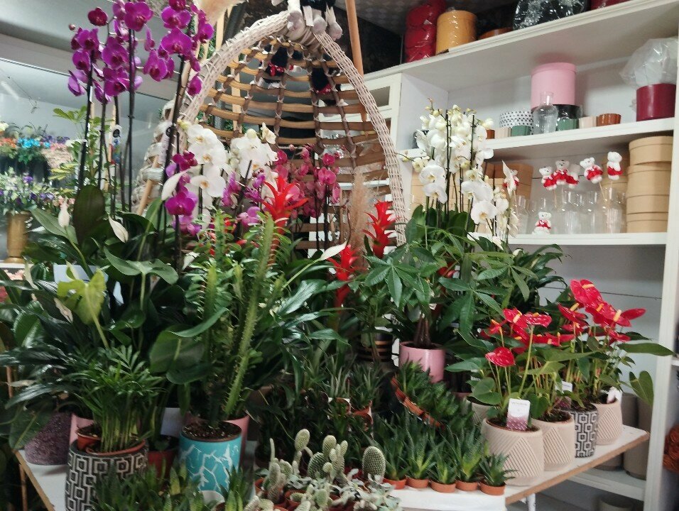 Flower shop Cali Florist, Izmir, photo