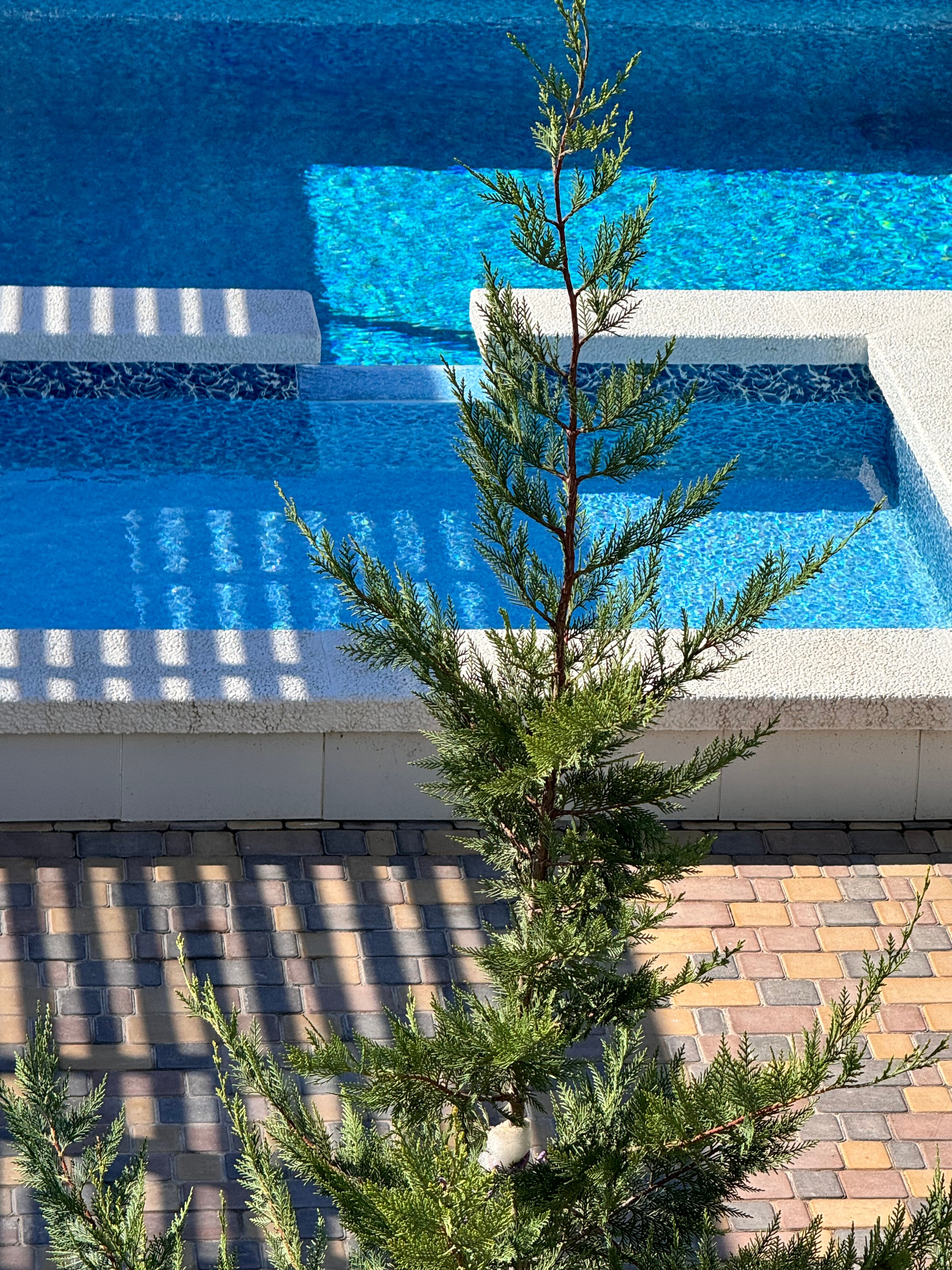 Фото Вилла Атлантик