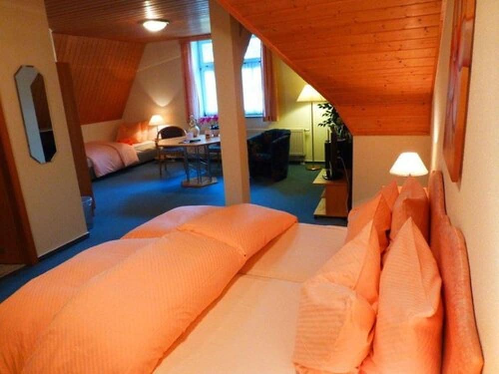 Фото Parkhotel Waldschlösschen