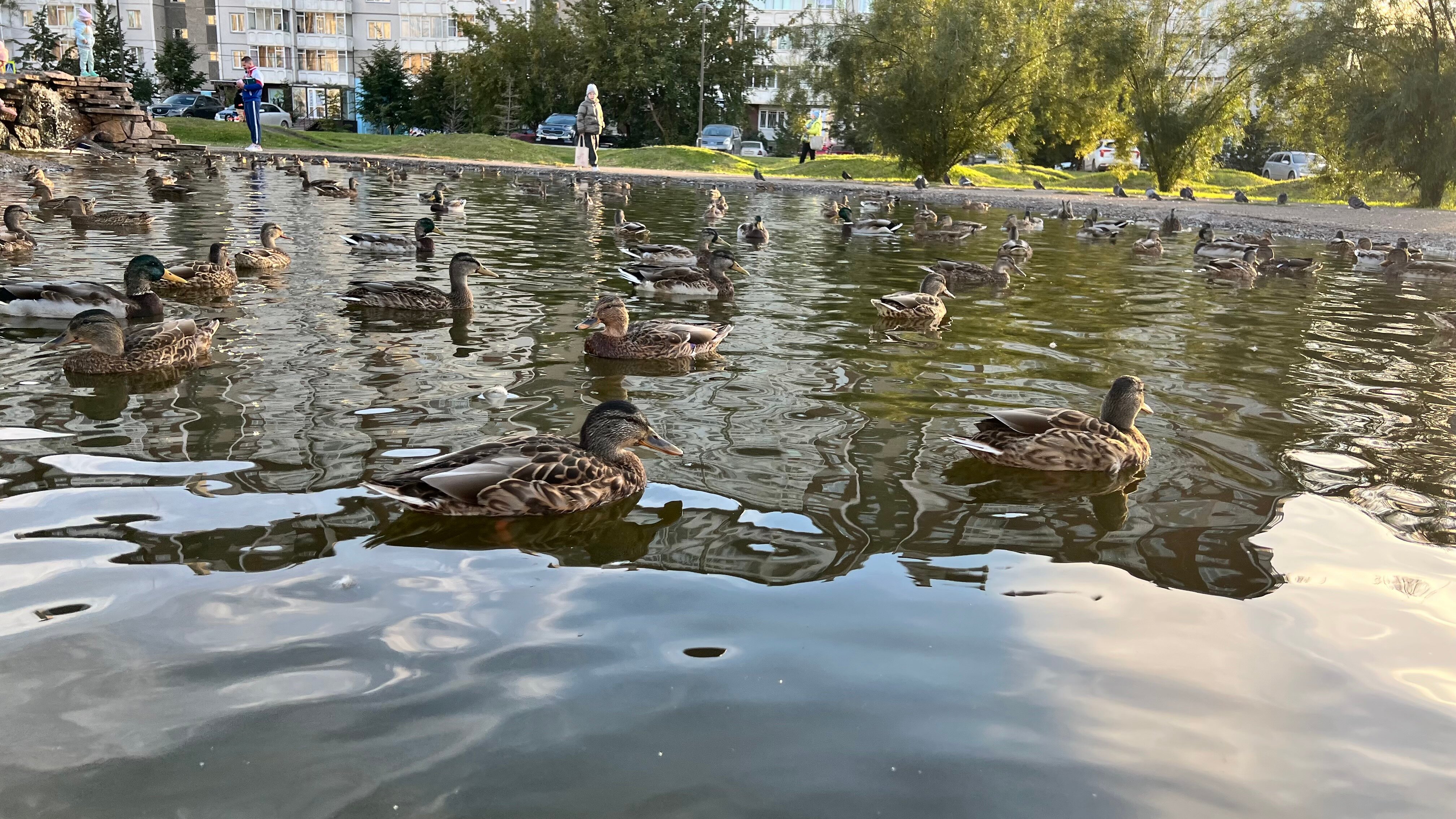 Фото Сибирь