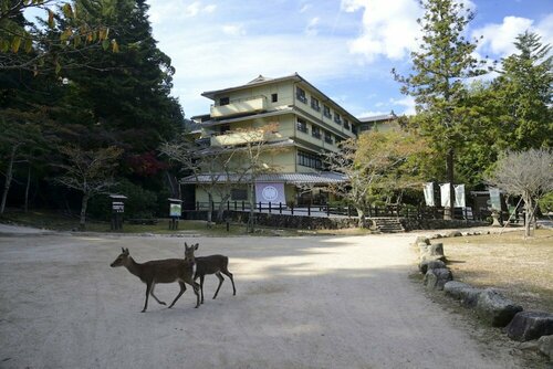 Гостиница Miyajima MorinoYado Inn