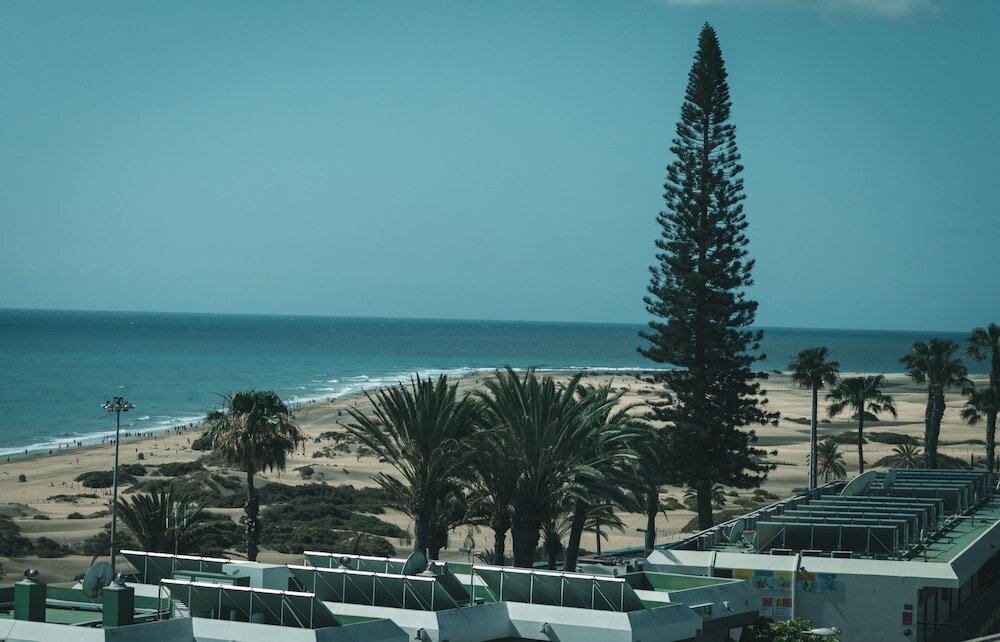 Фото Apartamentos El Palmar