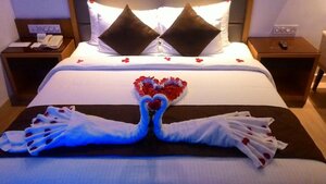 Гостиница The Central Residency