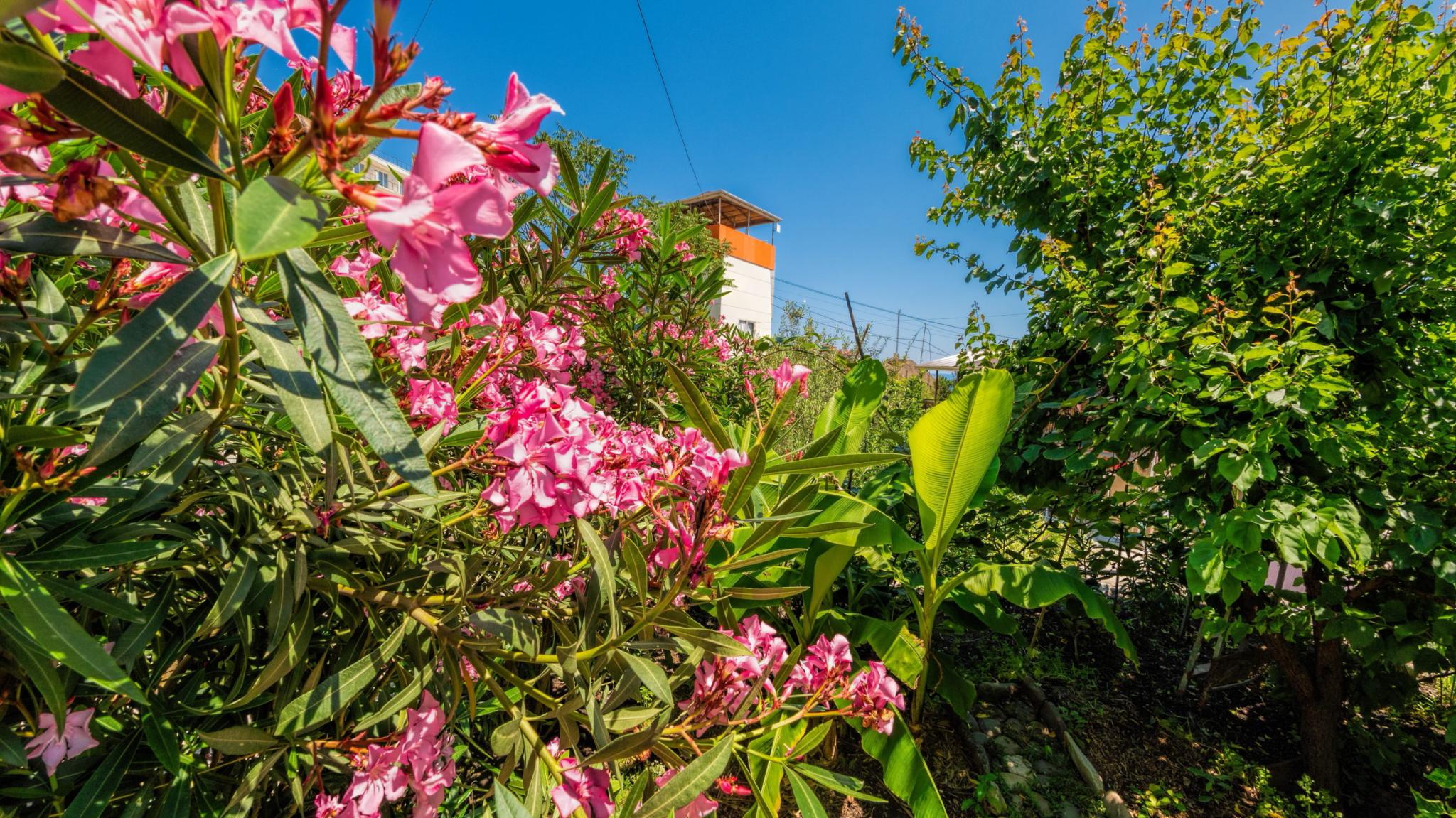 Фото Рыбачий Стан