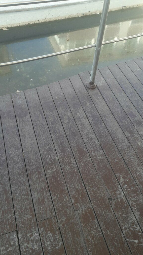 Grocery Gulum Picnic, Ankara, photo