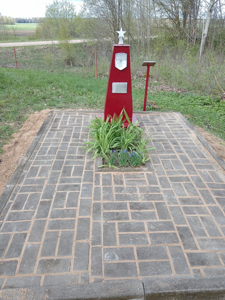 Monument, memorial Могила неизвестного советского летчика, погибшего в 1941 г., Grodno District, photo