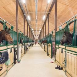 Фото Гермес