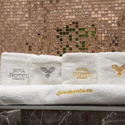 Фото Сова на Планерной