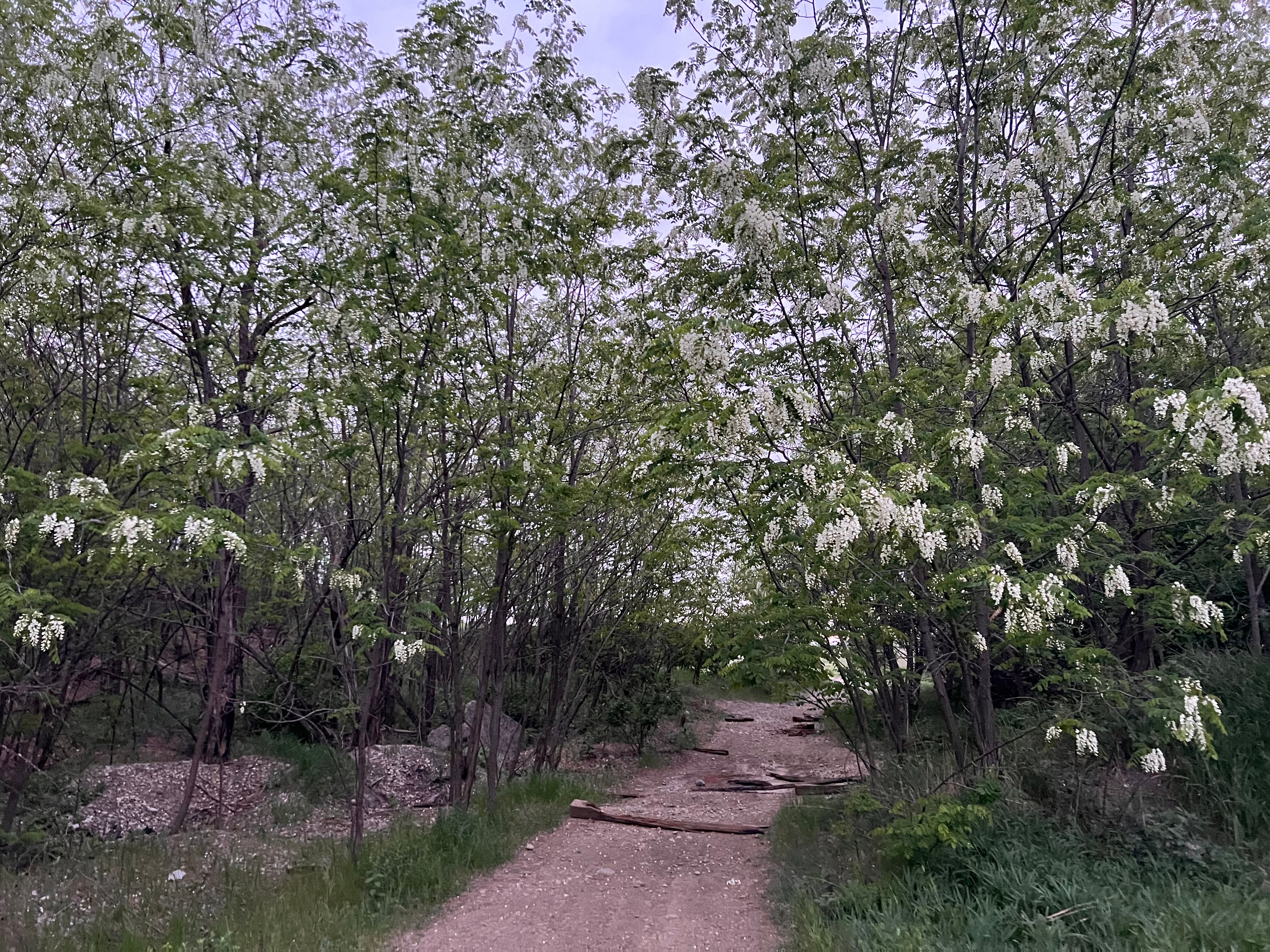 Фото У подножия