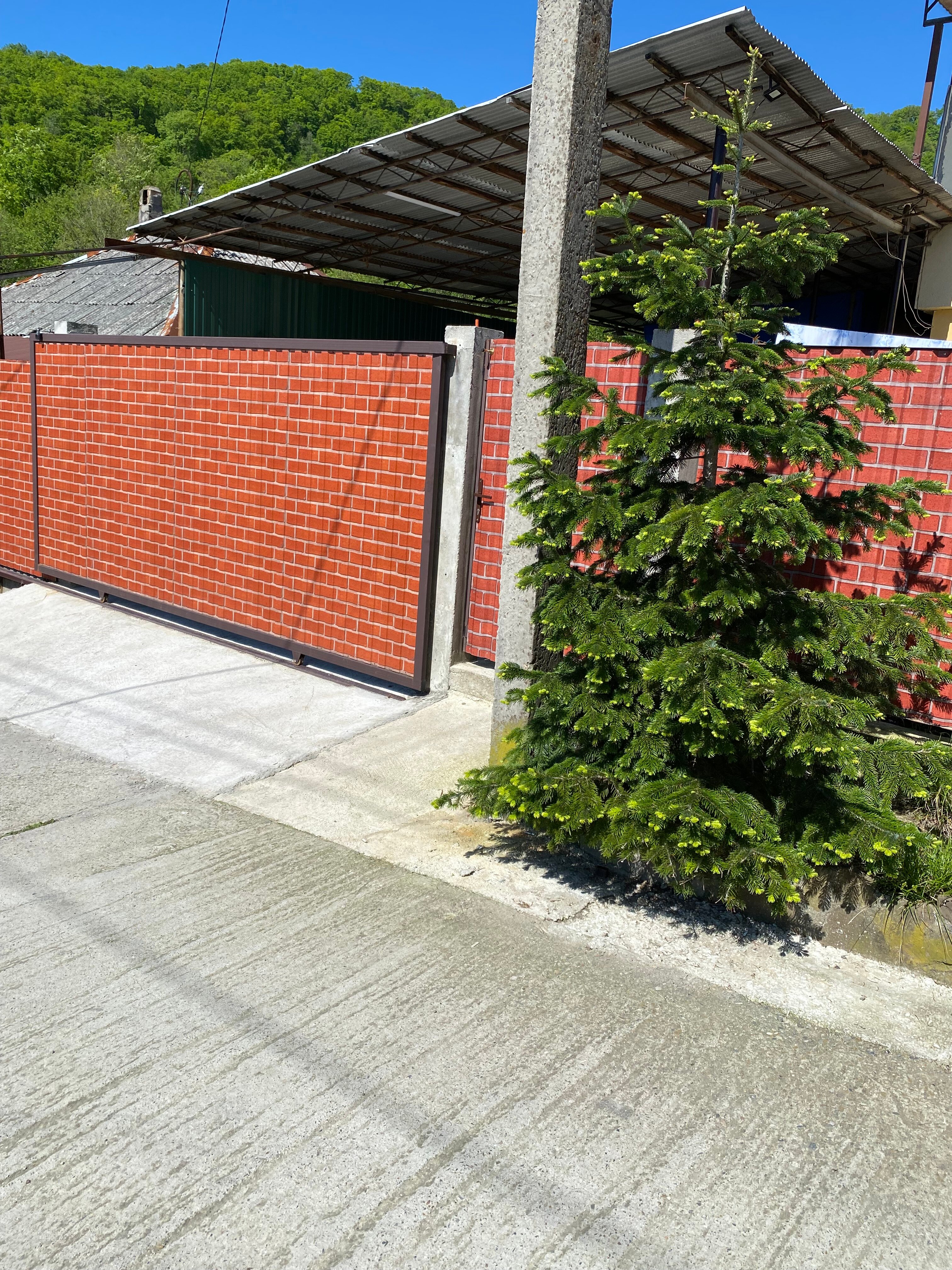 Фото Банановый рай