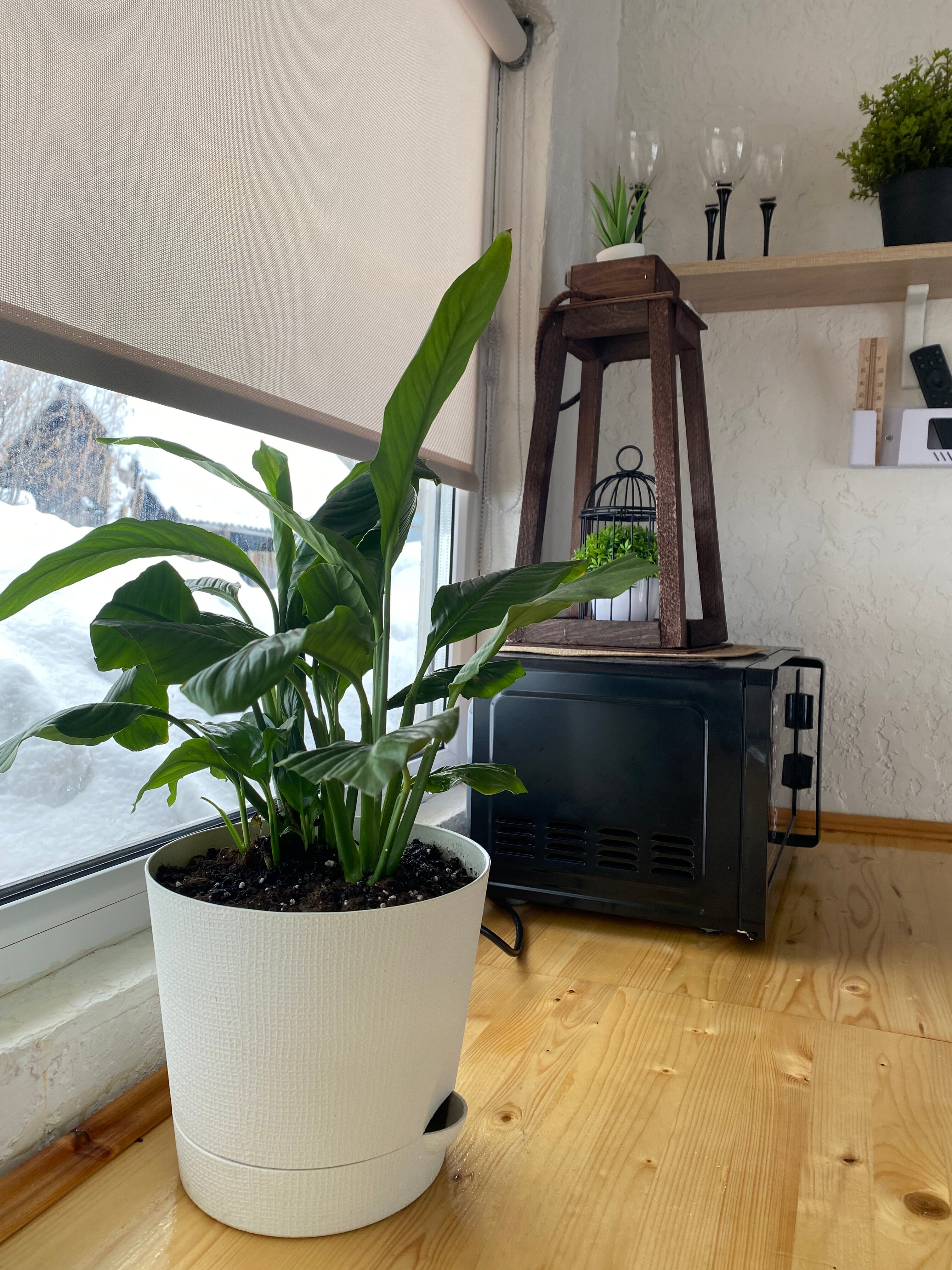 Фото Домик Рокс