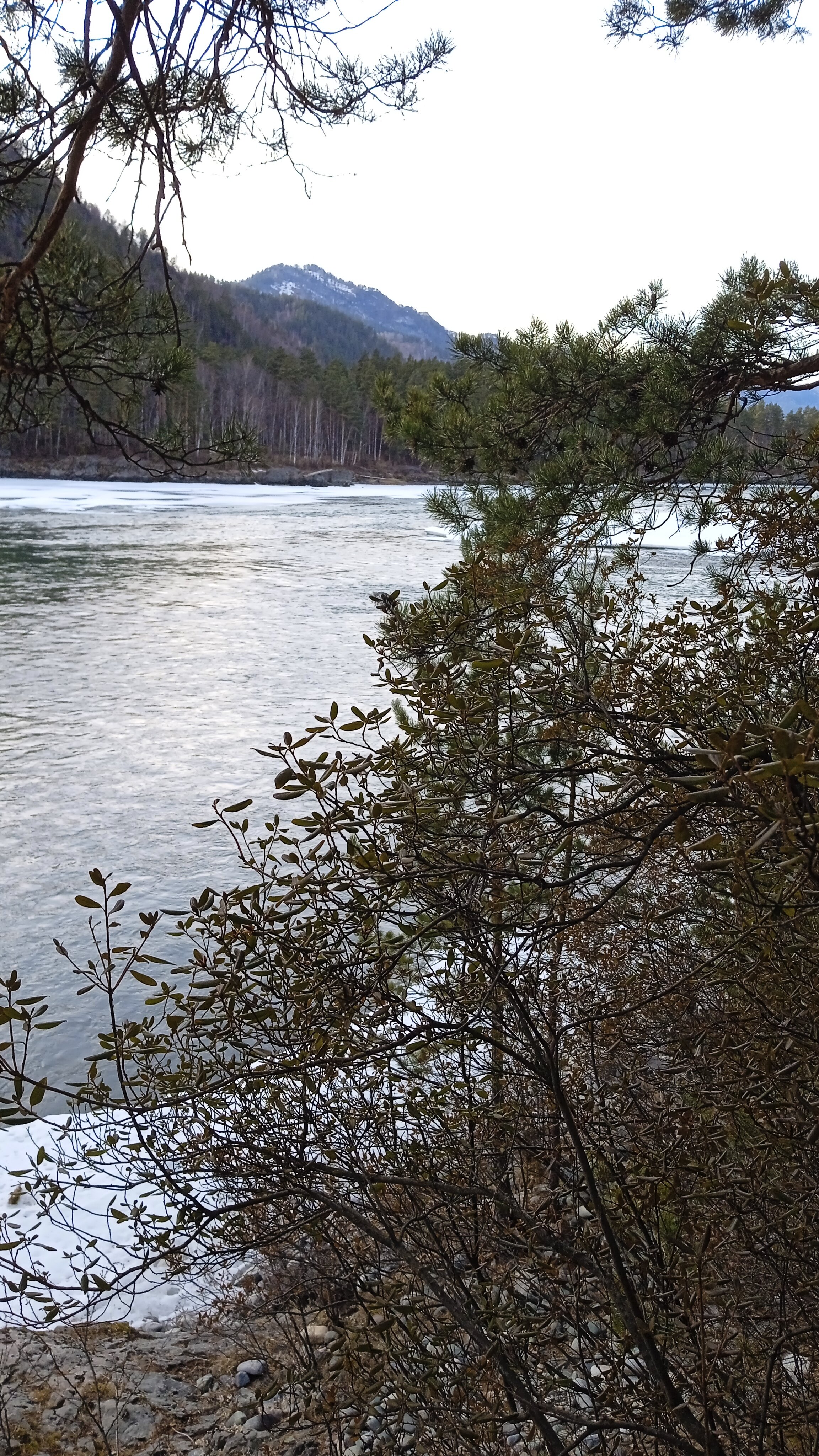 Фото Усадьба Светоч