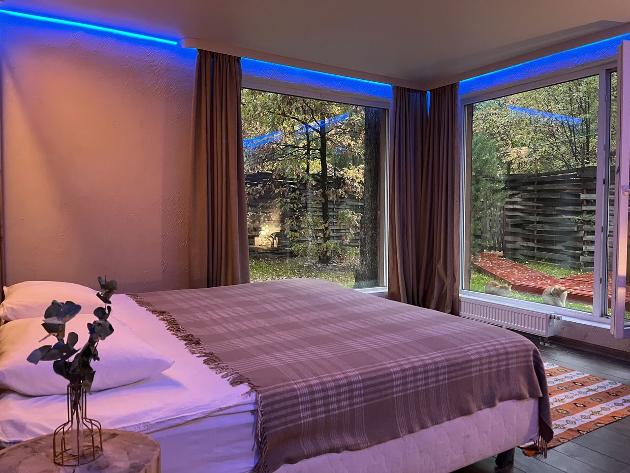 Фото Гуси-Лебеди