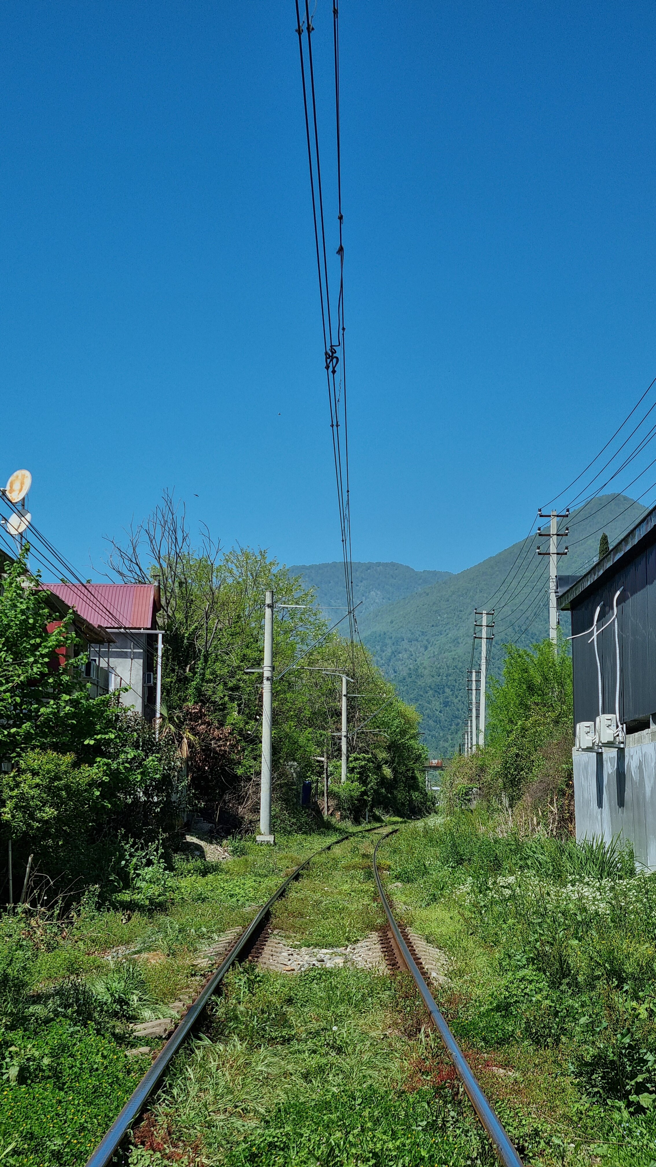 Фото Nacharianoff