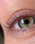 Ламинирование ресниц и бровей (Leninskiy Avenue, 43А), eyebrow and eyelash salon