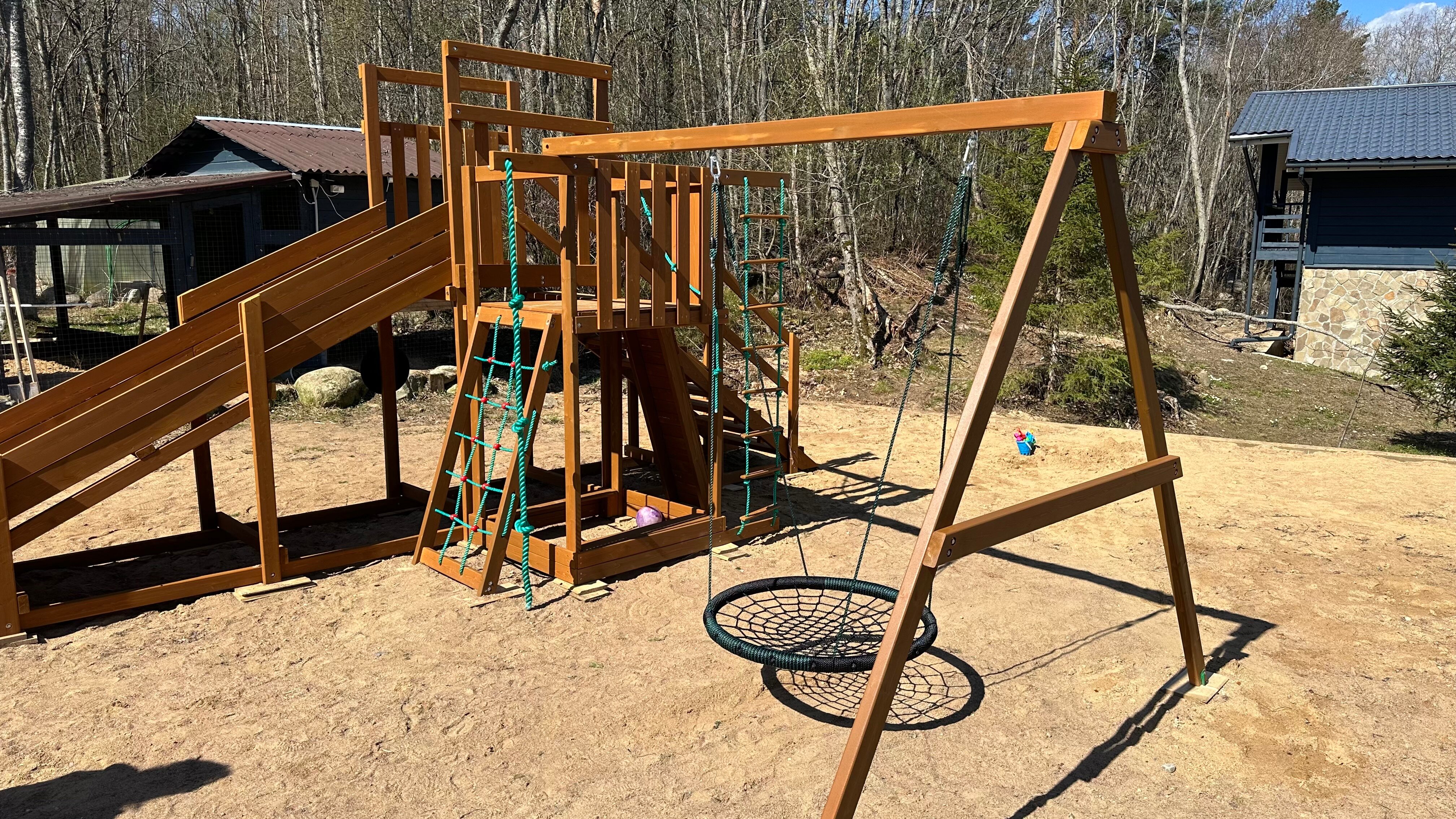 Фото Талони