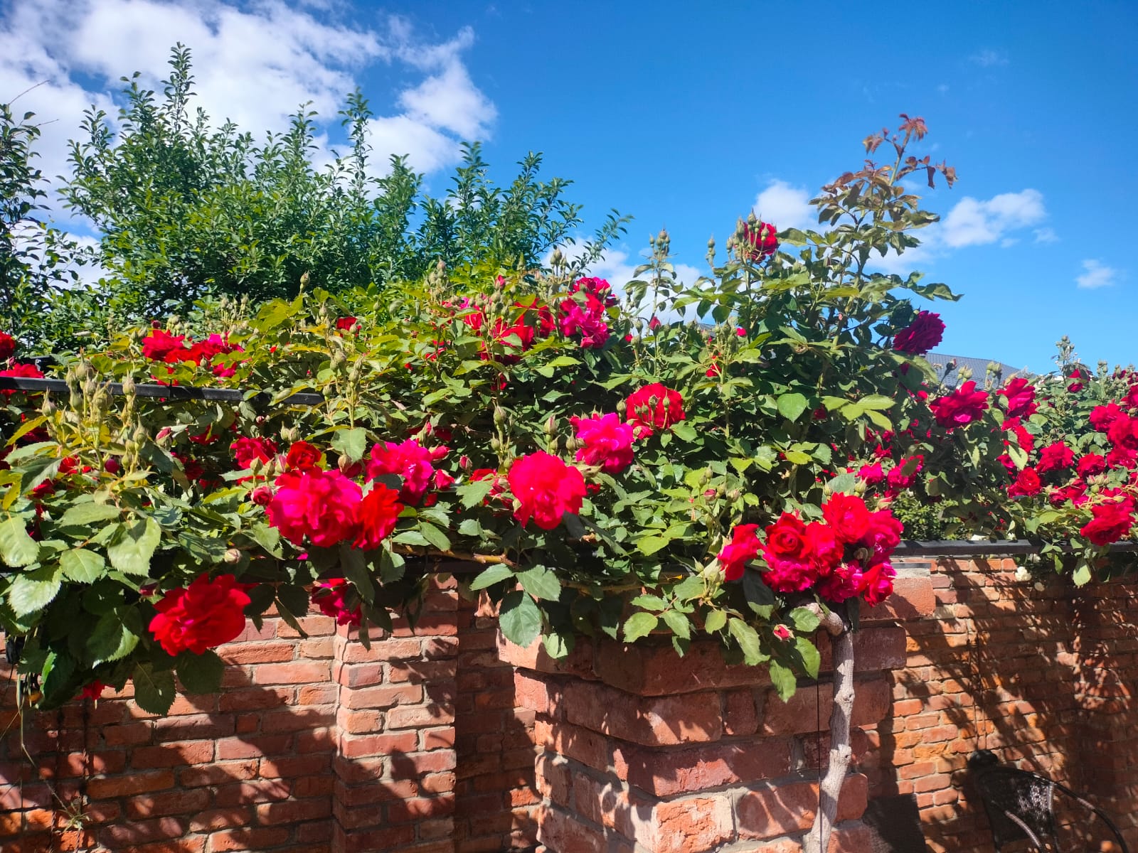 Фото Бристоль