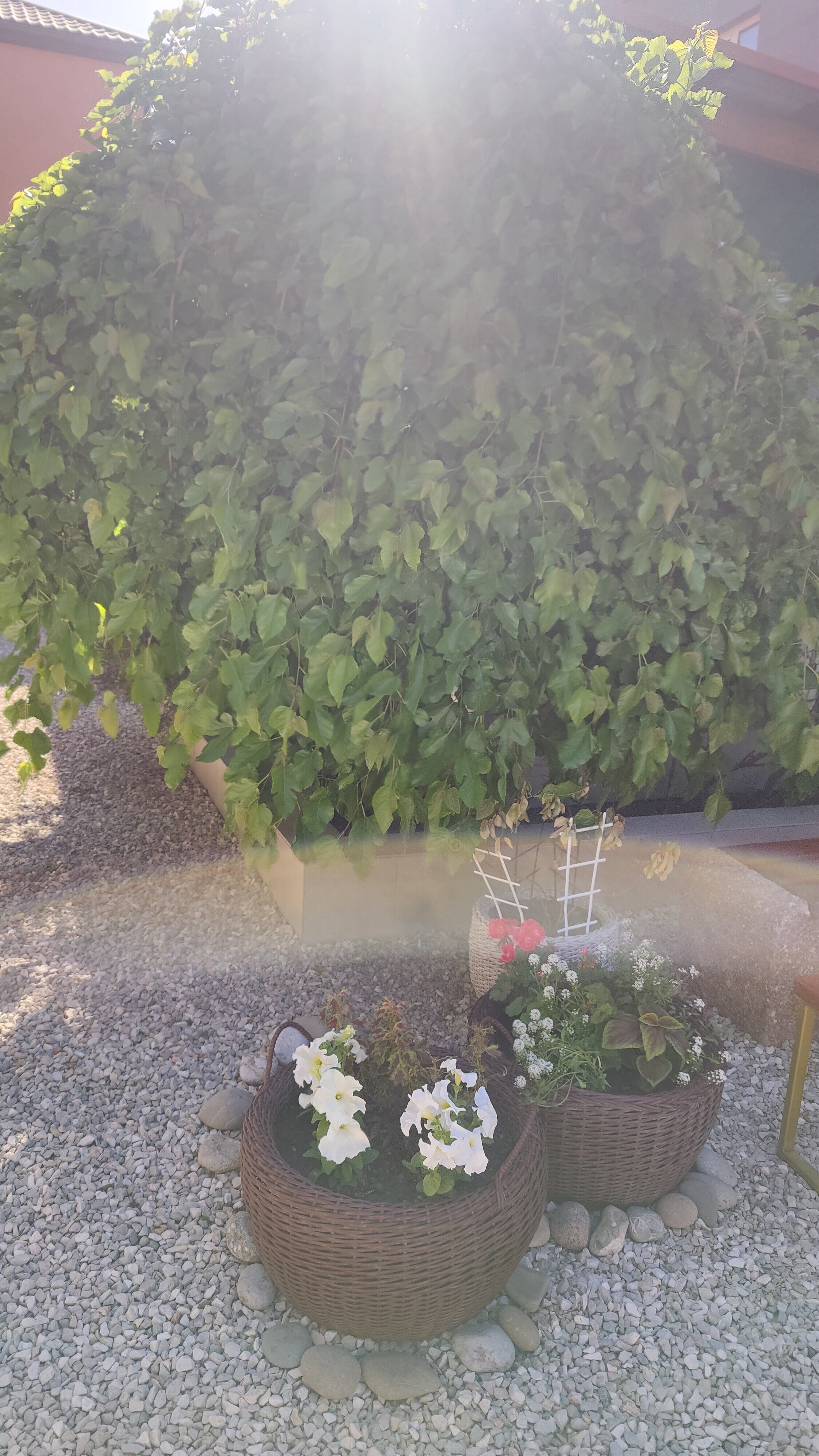 Фото Софита