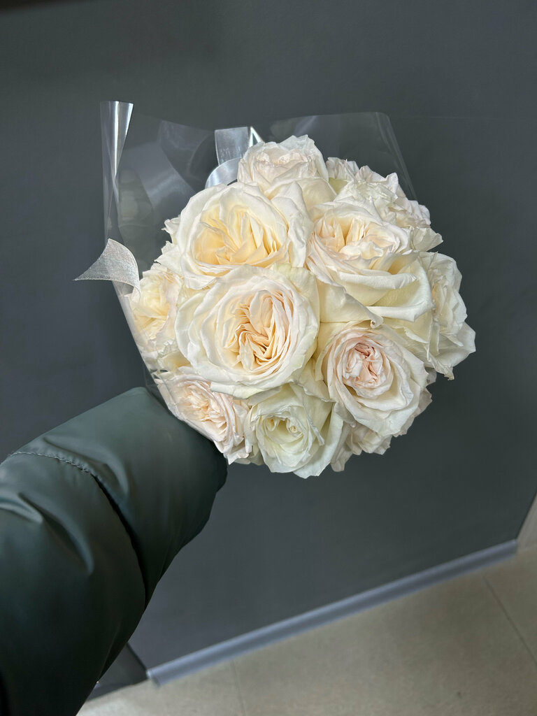 Екатерина Барсукова