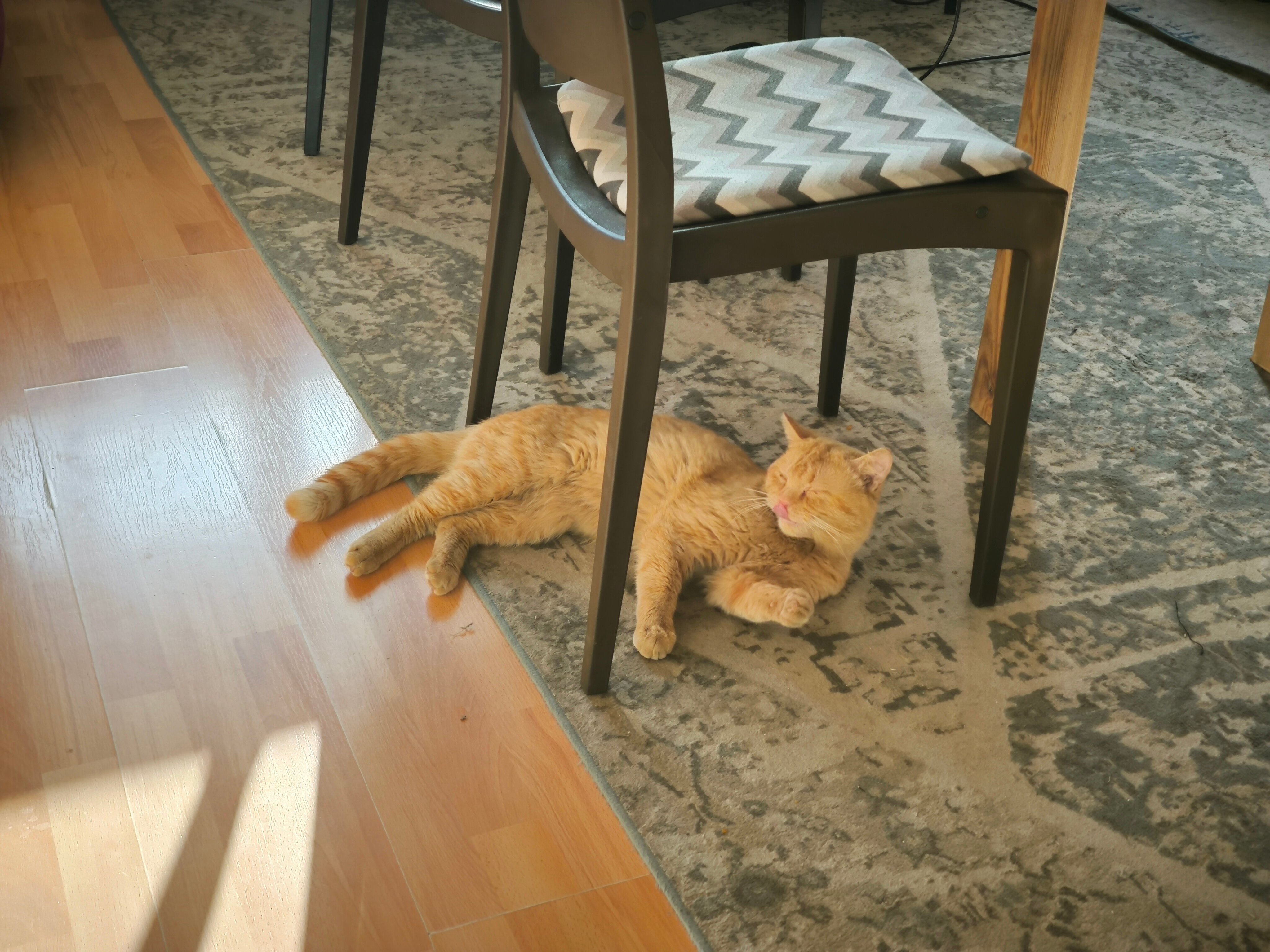 Фото Wanderlust hostel Riverside