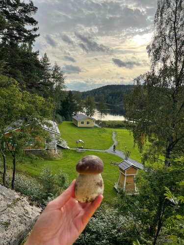 Дом в аренду Медвежий камень в Карелии