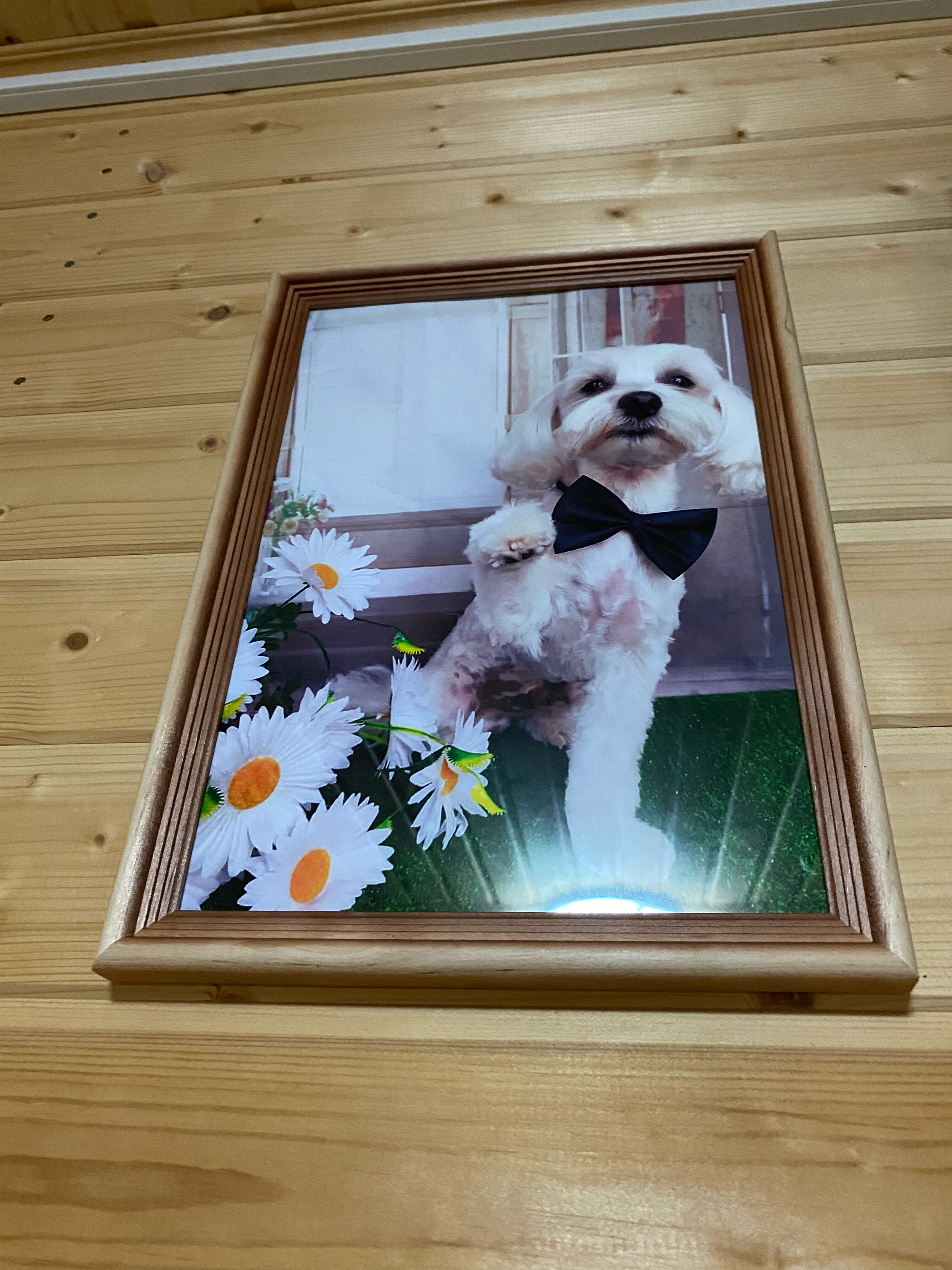 Фото Добрый хозяин