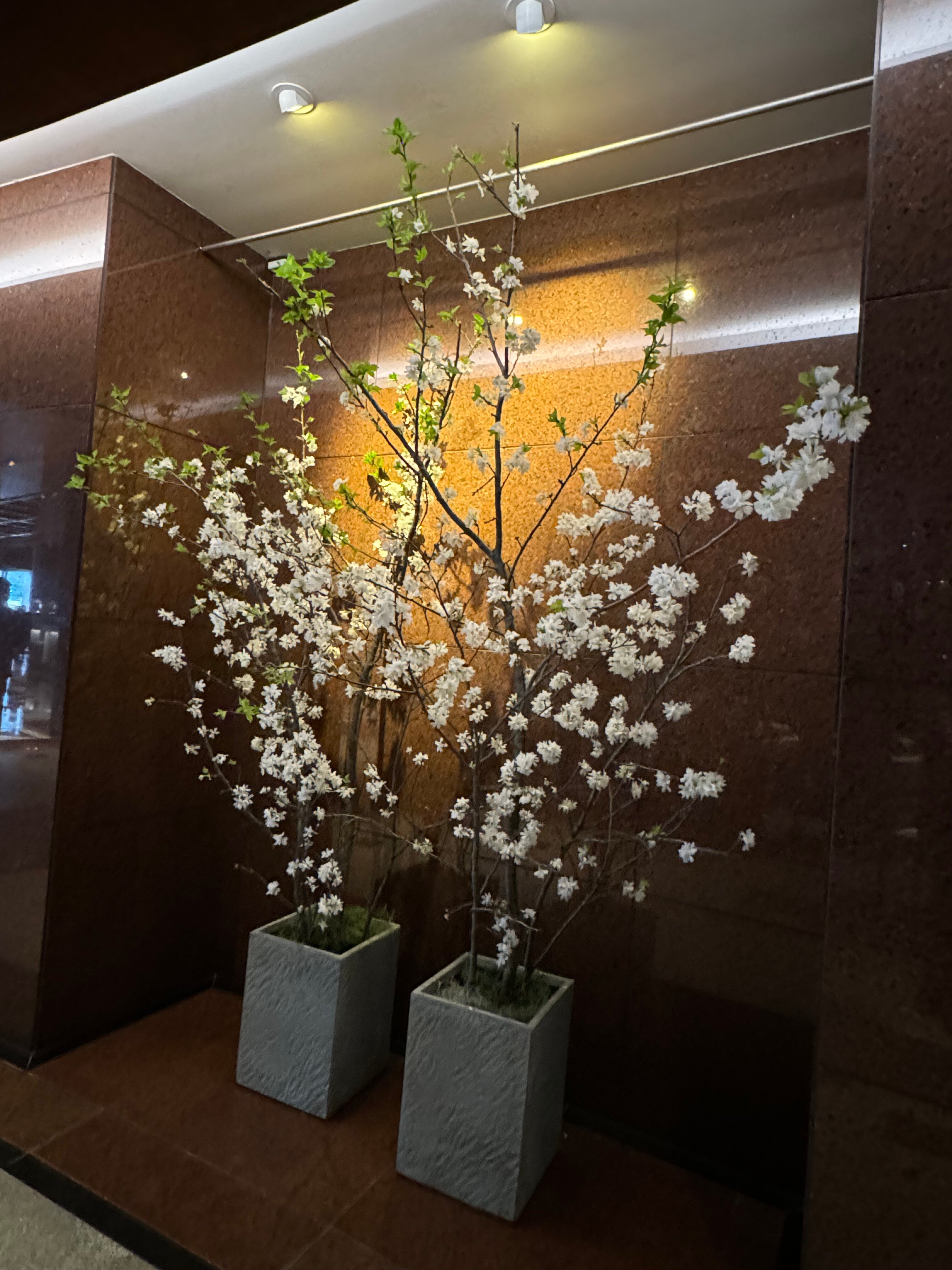 Фото Grand InterContinental Seoul Parnas