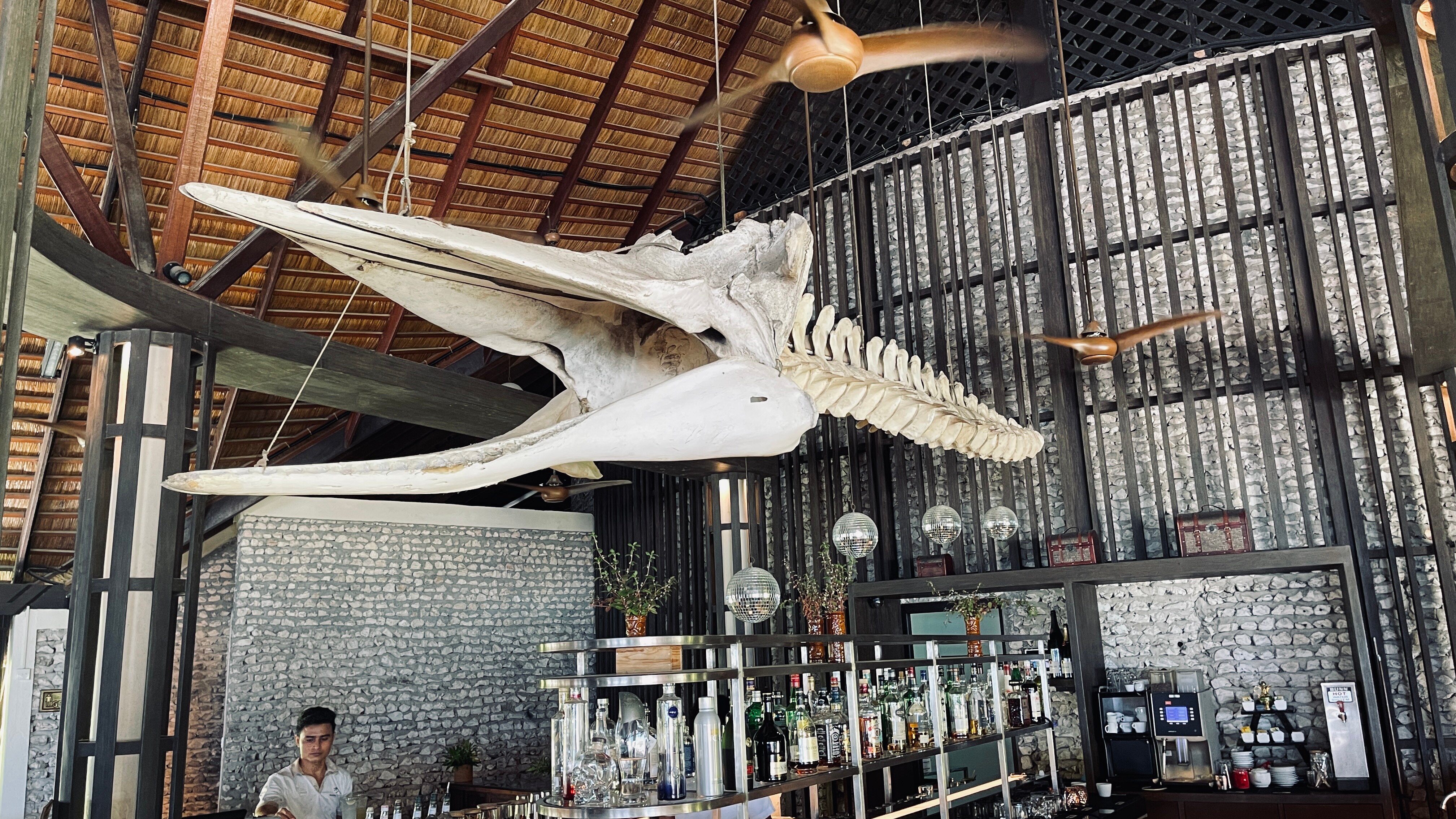 Фото Kuredu Resort and SPA