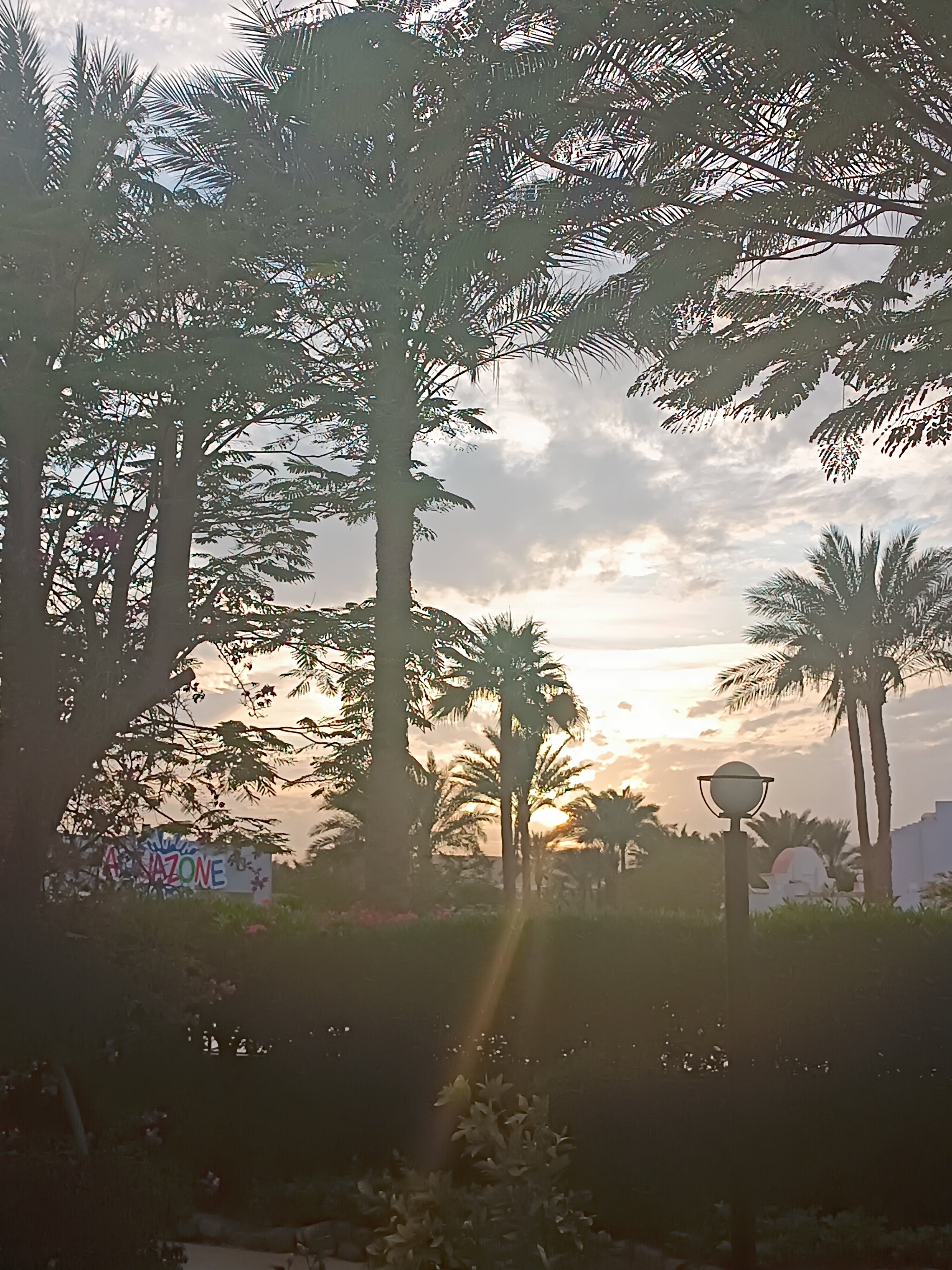 Фото Gafy Resort