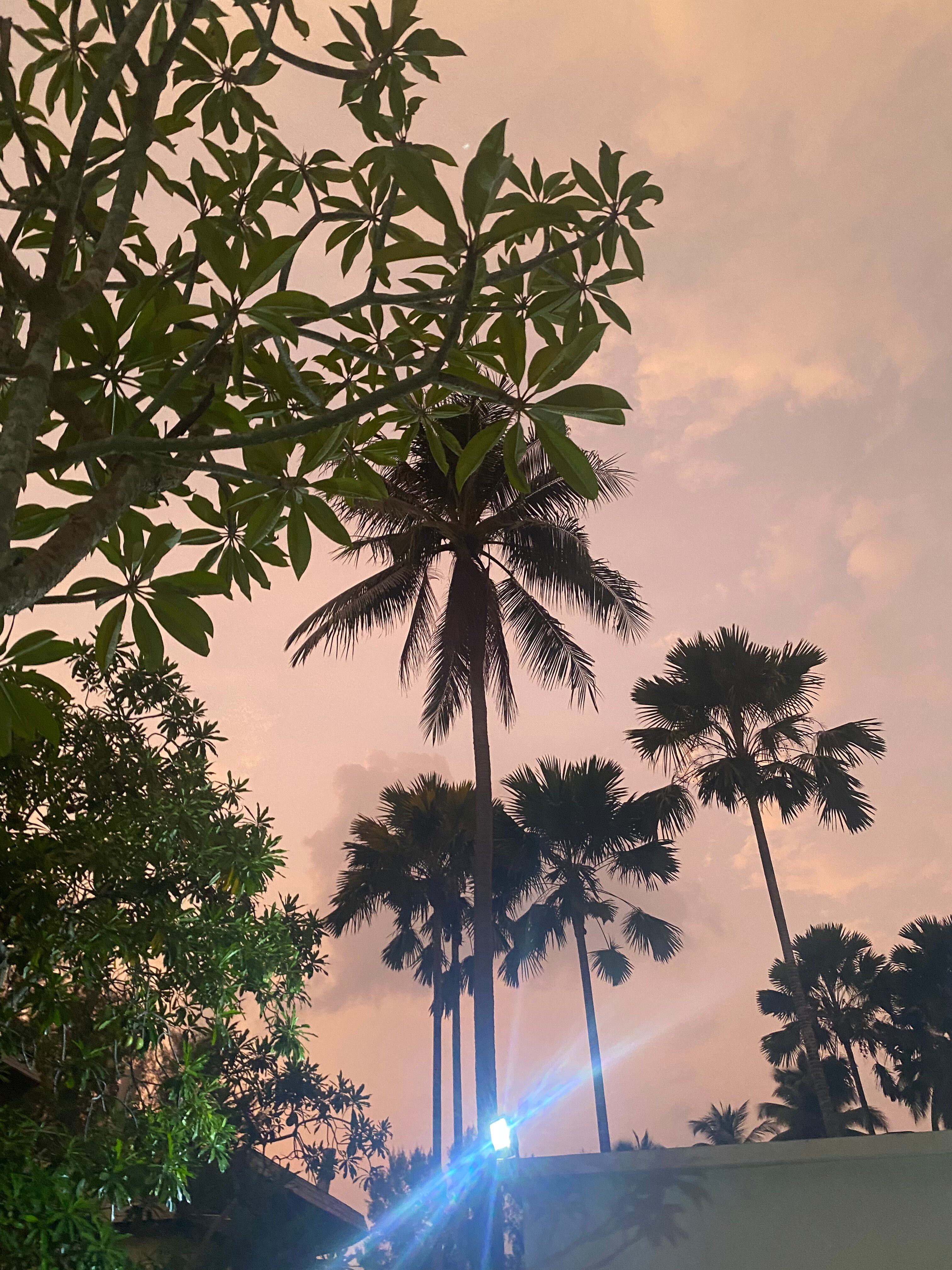 Фото Grand Mercure Khao Lak Bangsak