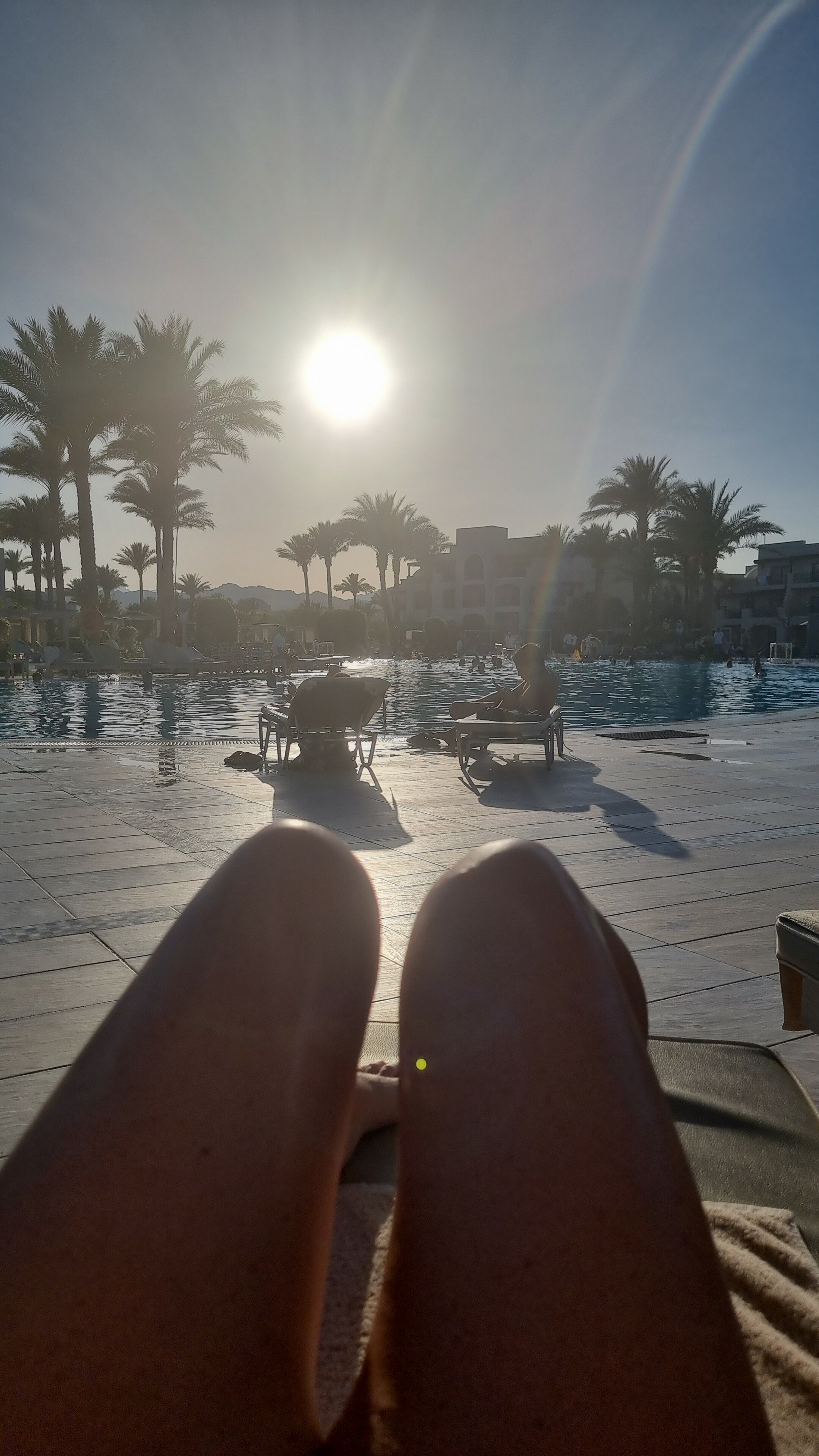 Фото Steigenberger Alcazar