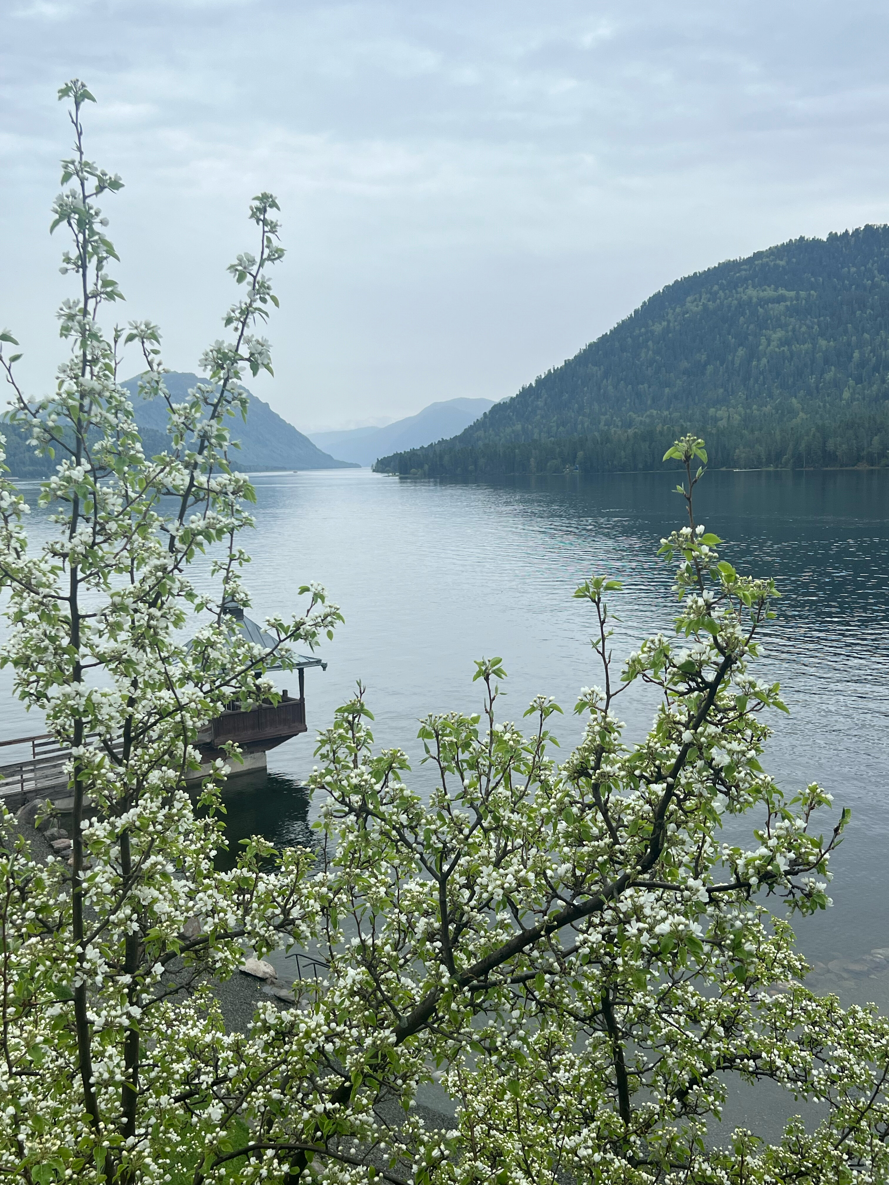 Фото Ару Кёль