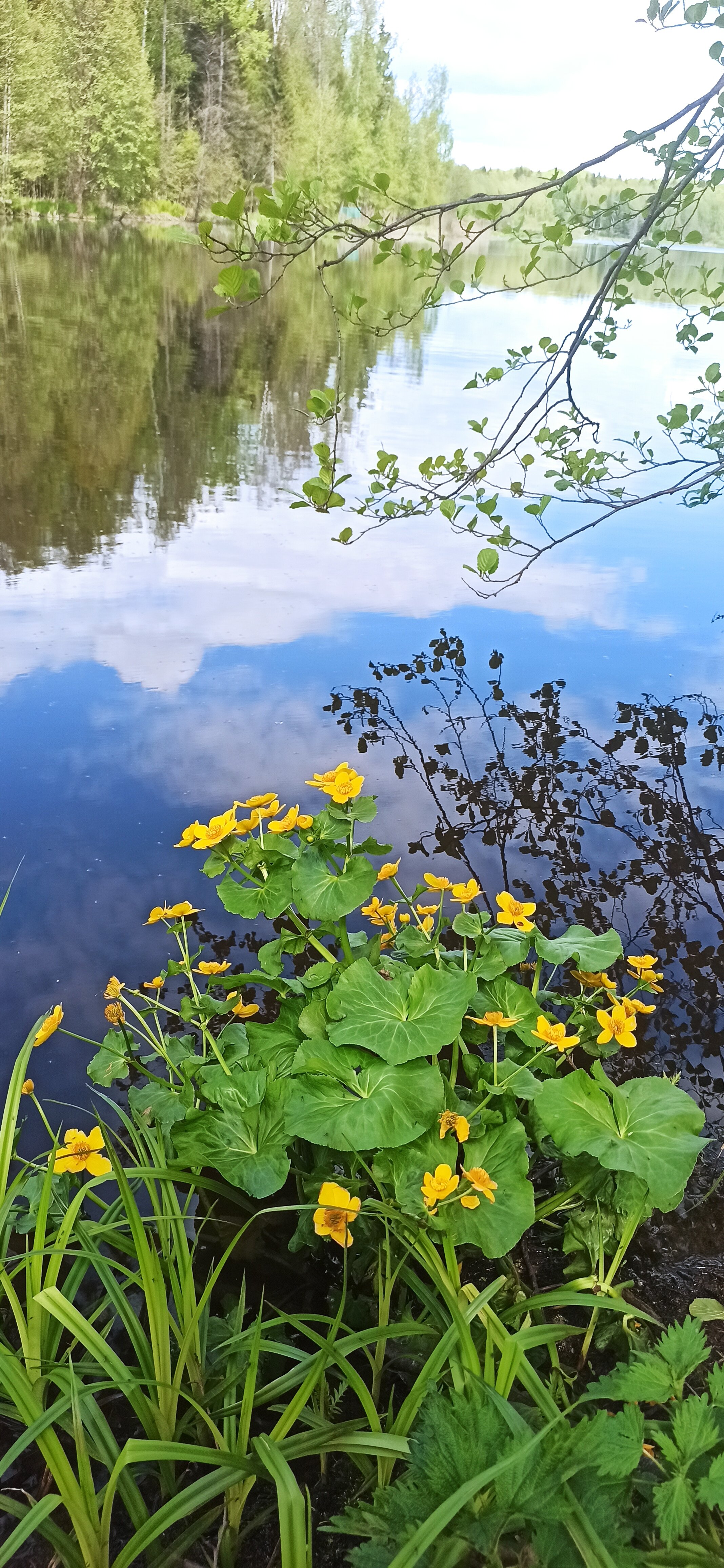 Фото Сафари Парк