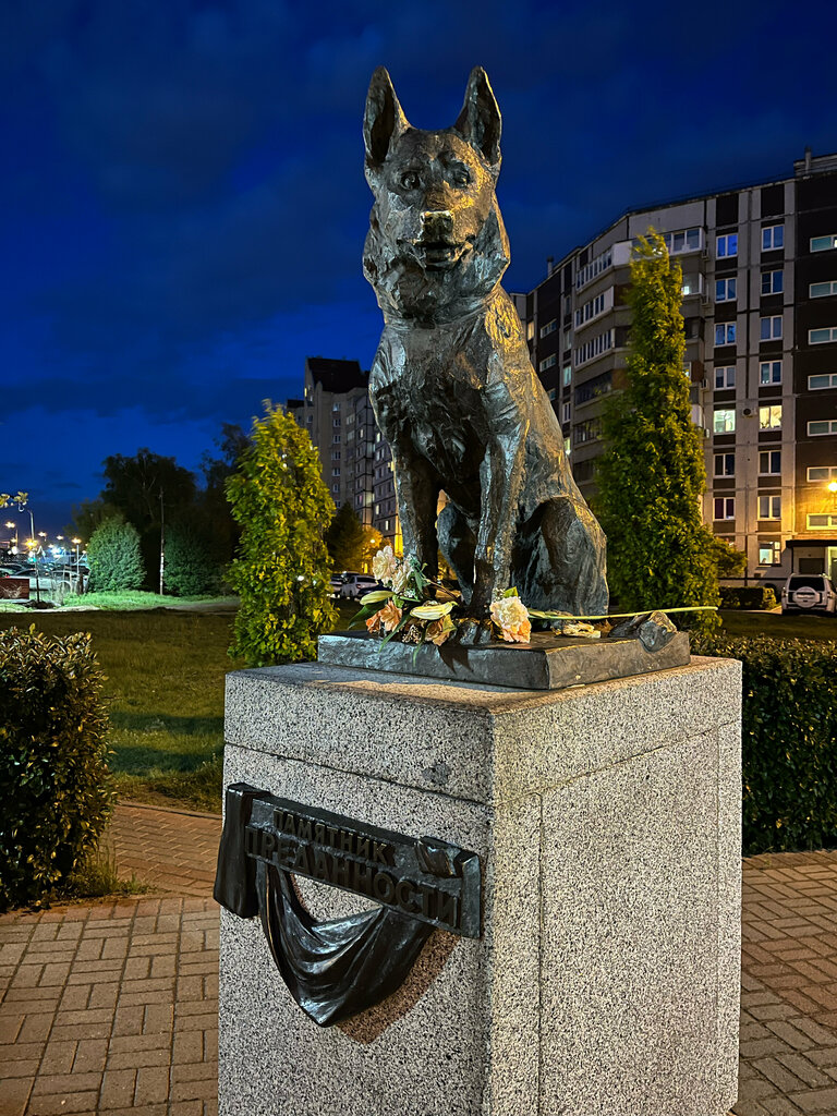 Памятник, мемориал Памятник Преданности, Тольятти, фото