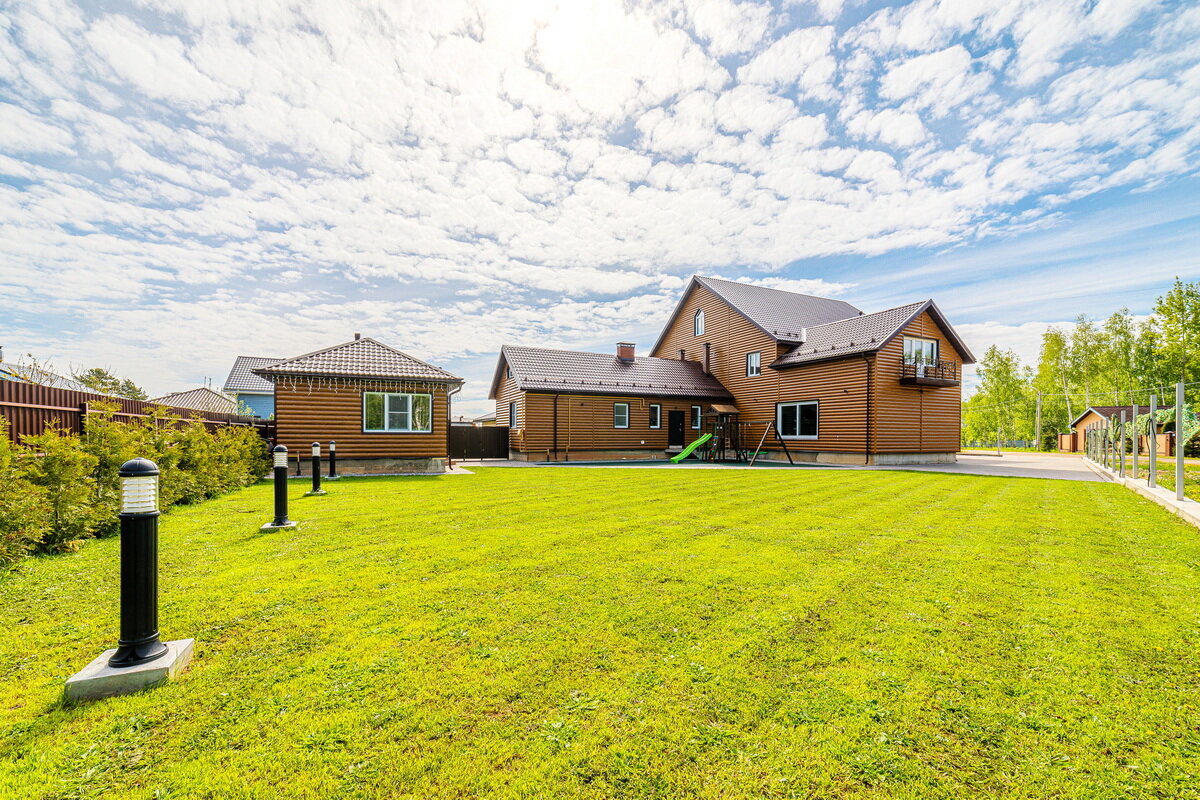 Фото Дельфин