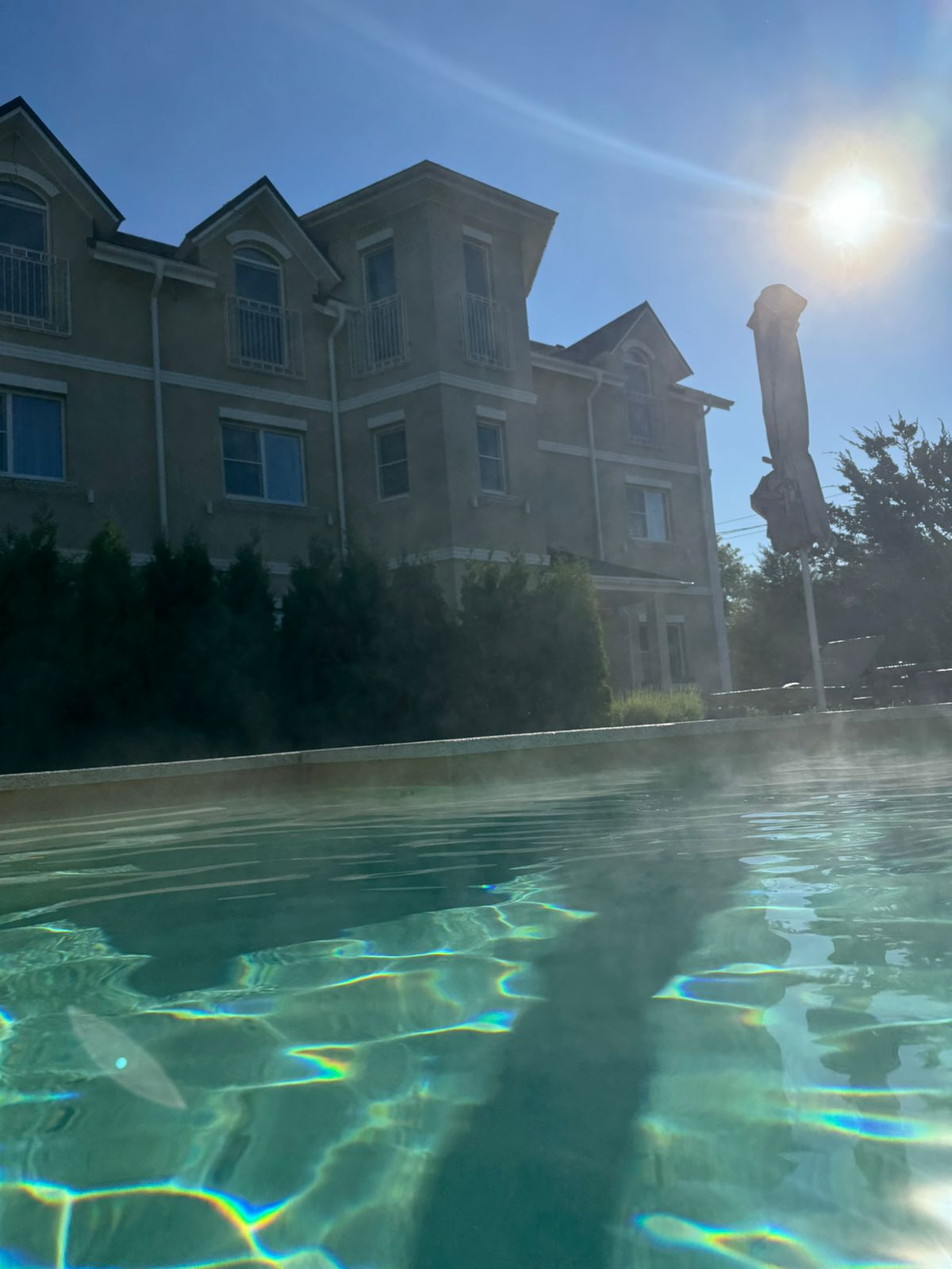 Фото Лаванда