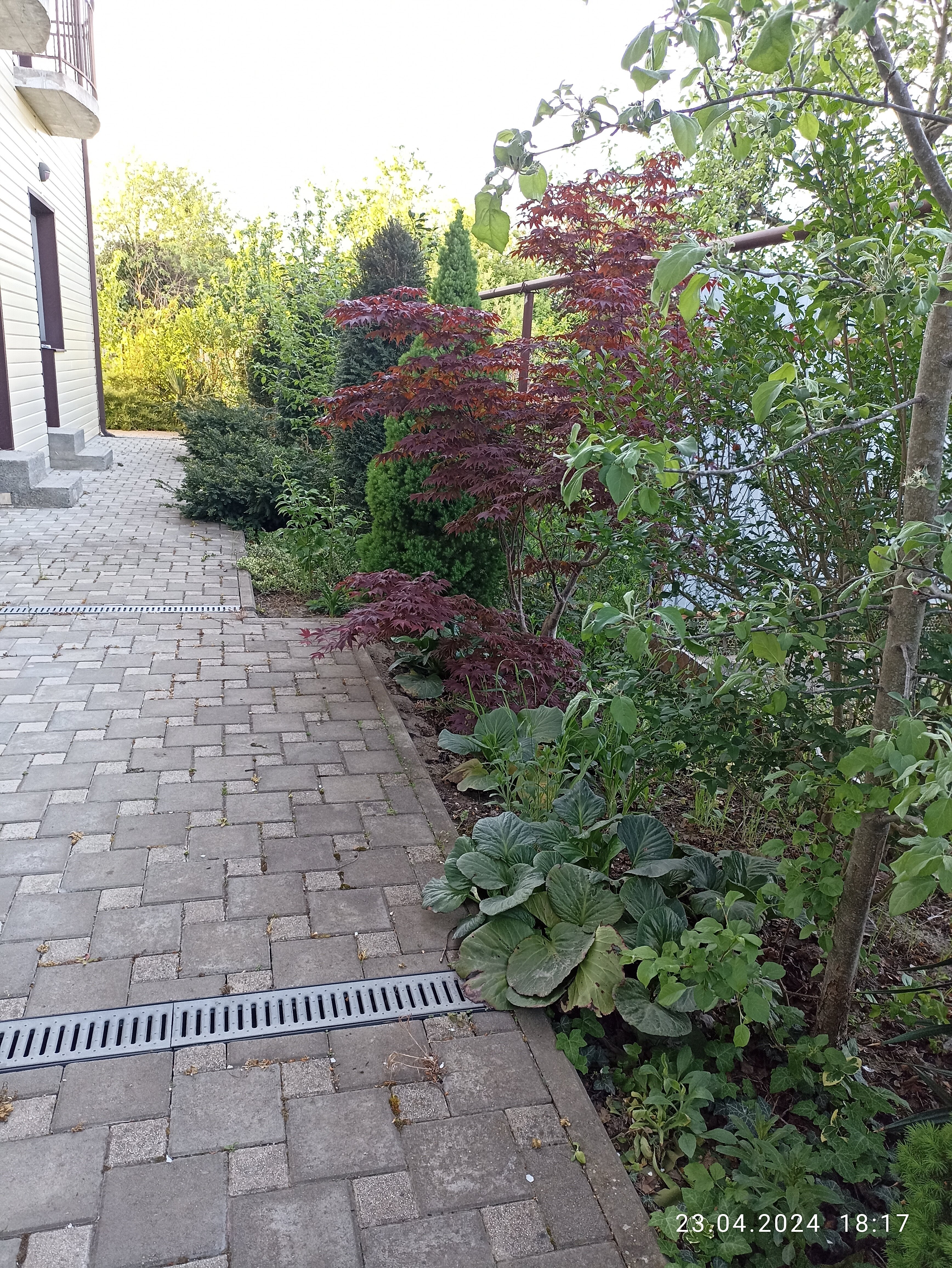 Фото Август