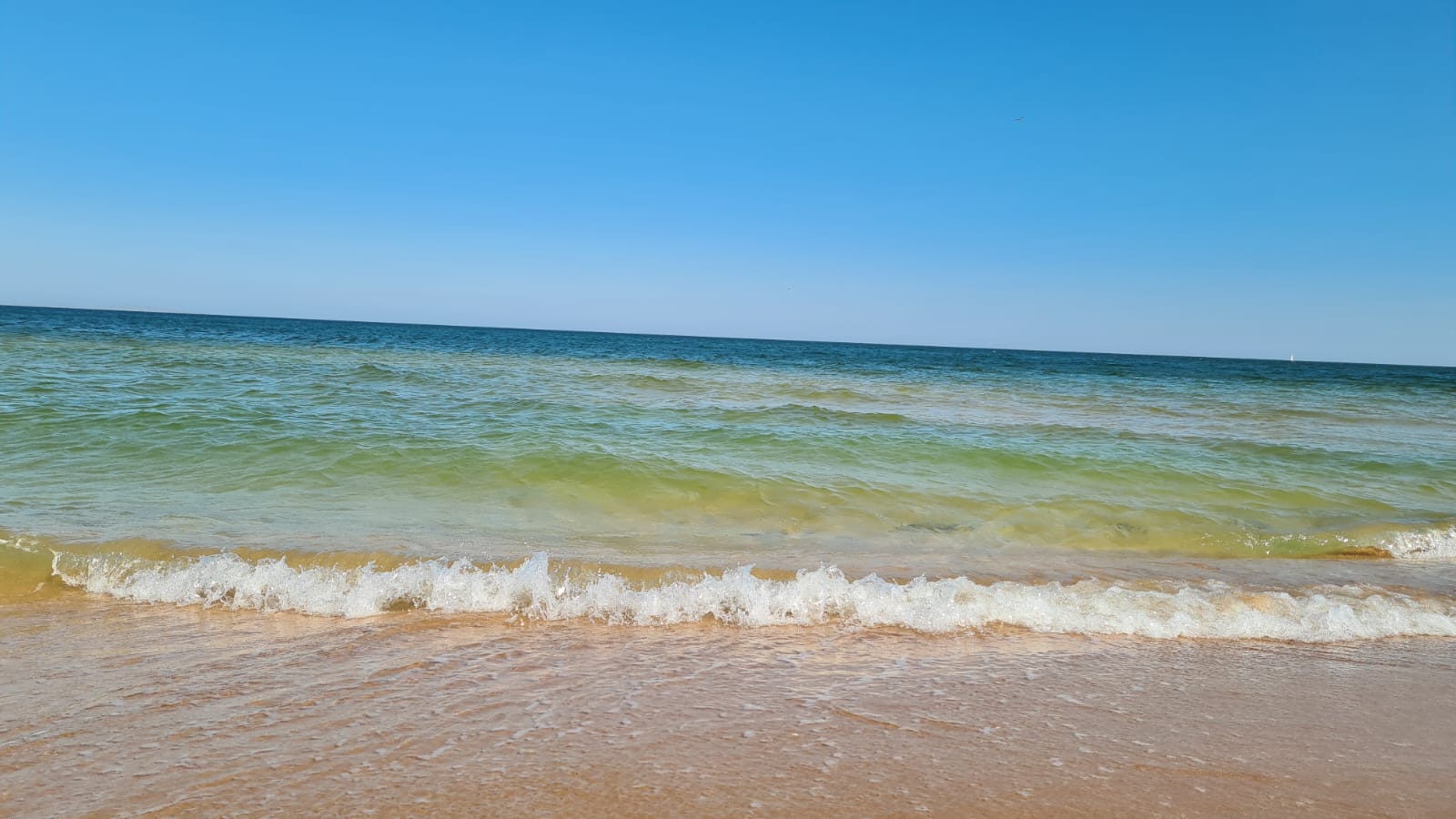 Фото Алмарис