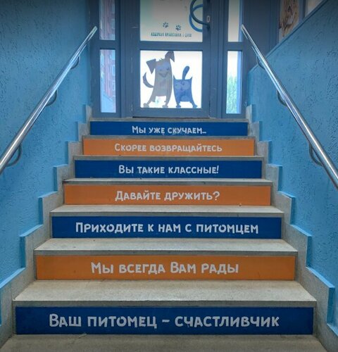 Сытая морда ул станислава карнацевича 12 фото Panorama: Sytaya Morda, veterinary clinic, Tyumen, ulitsa Stanislava Karnatsevic