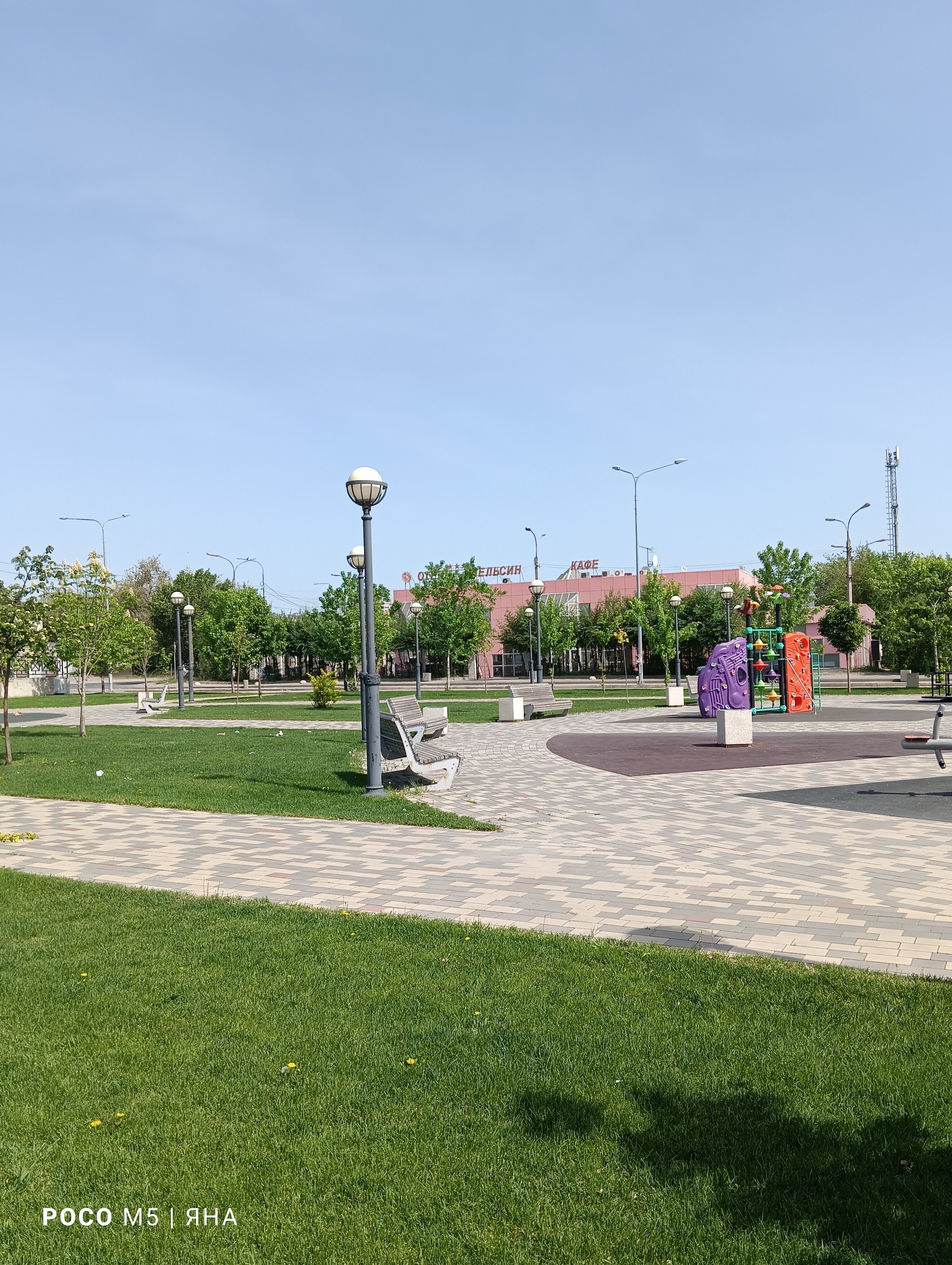 Фото Апельсин