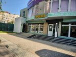 Орхидея (Toktogul Street, 176), flower shop