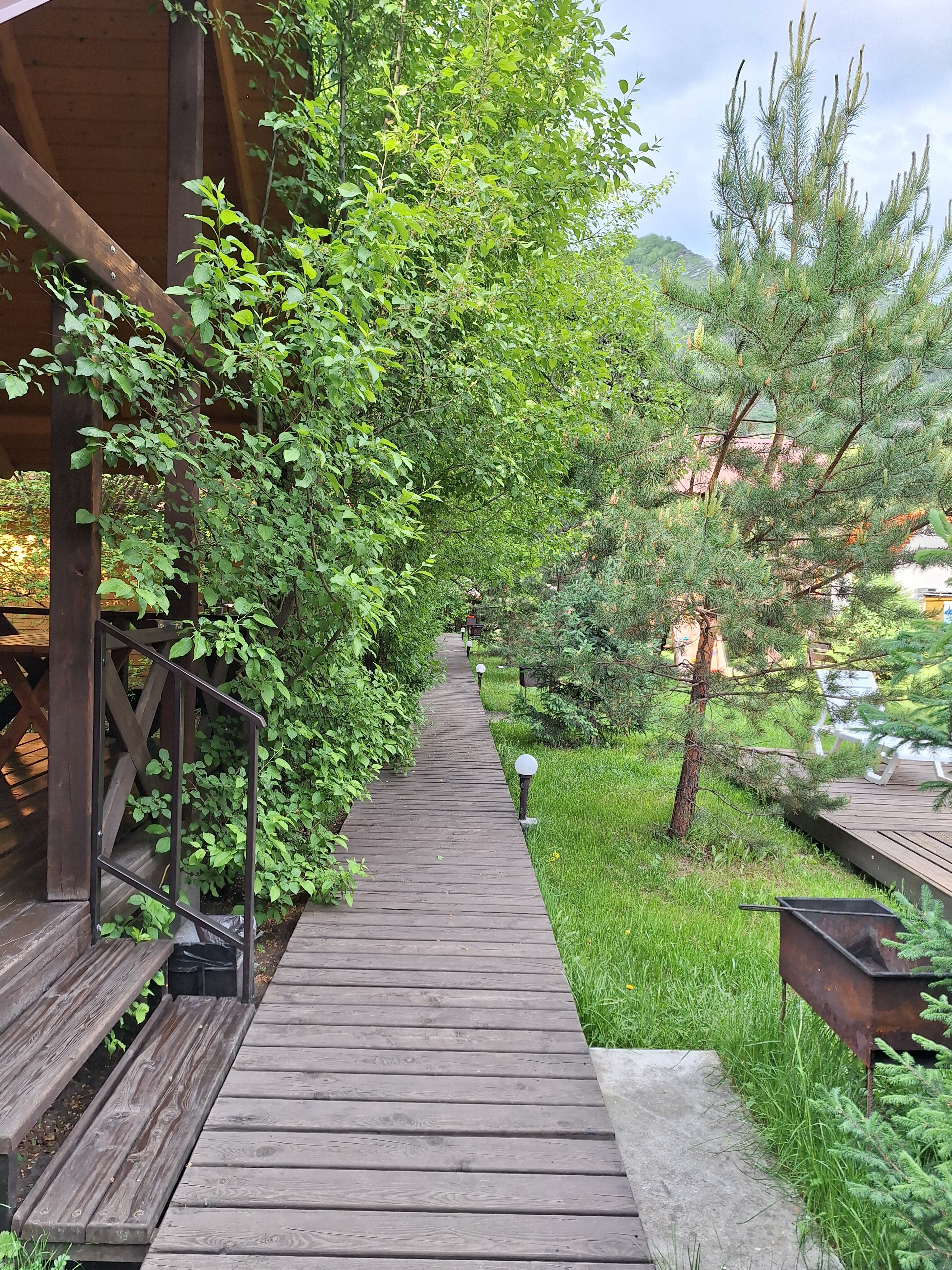 Фото Чемальское лето