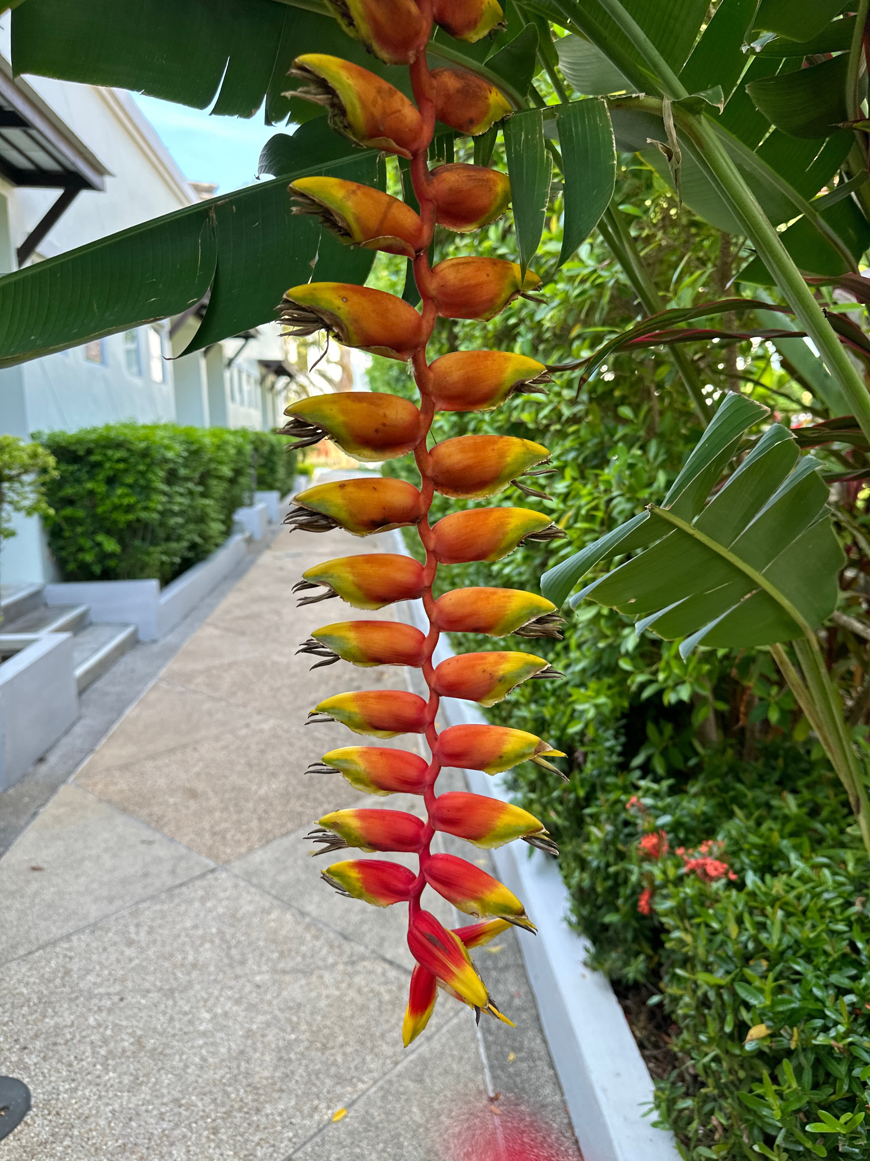 Фото Access Resort & Villas