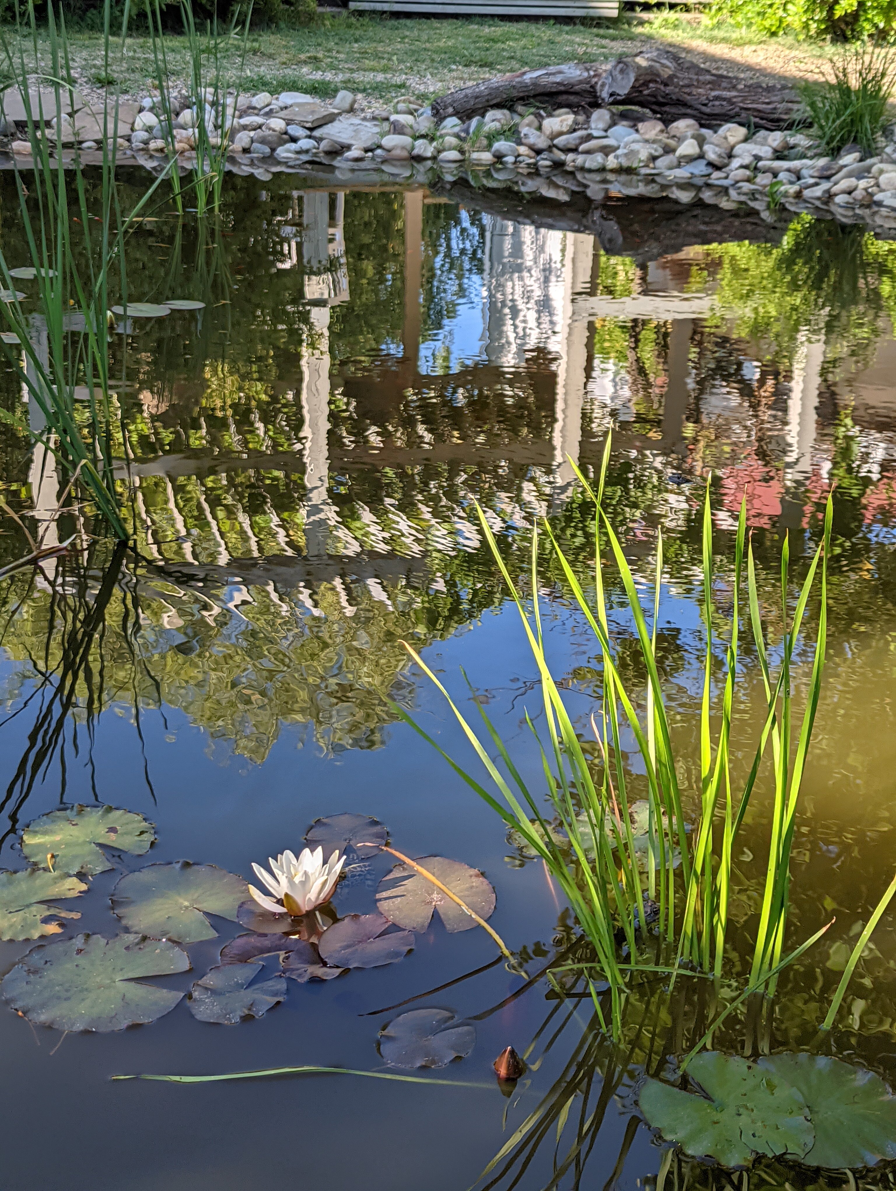 Фото Blaga House design dacha