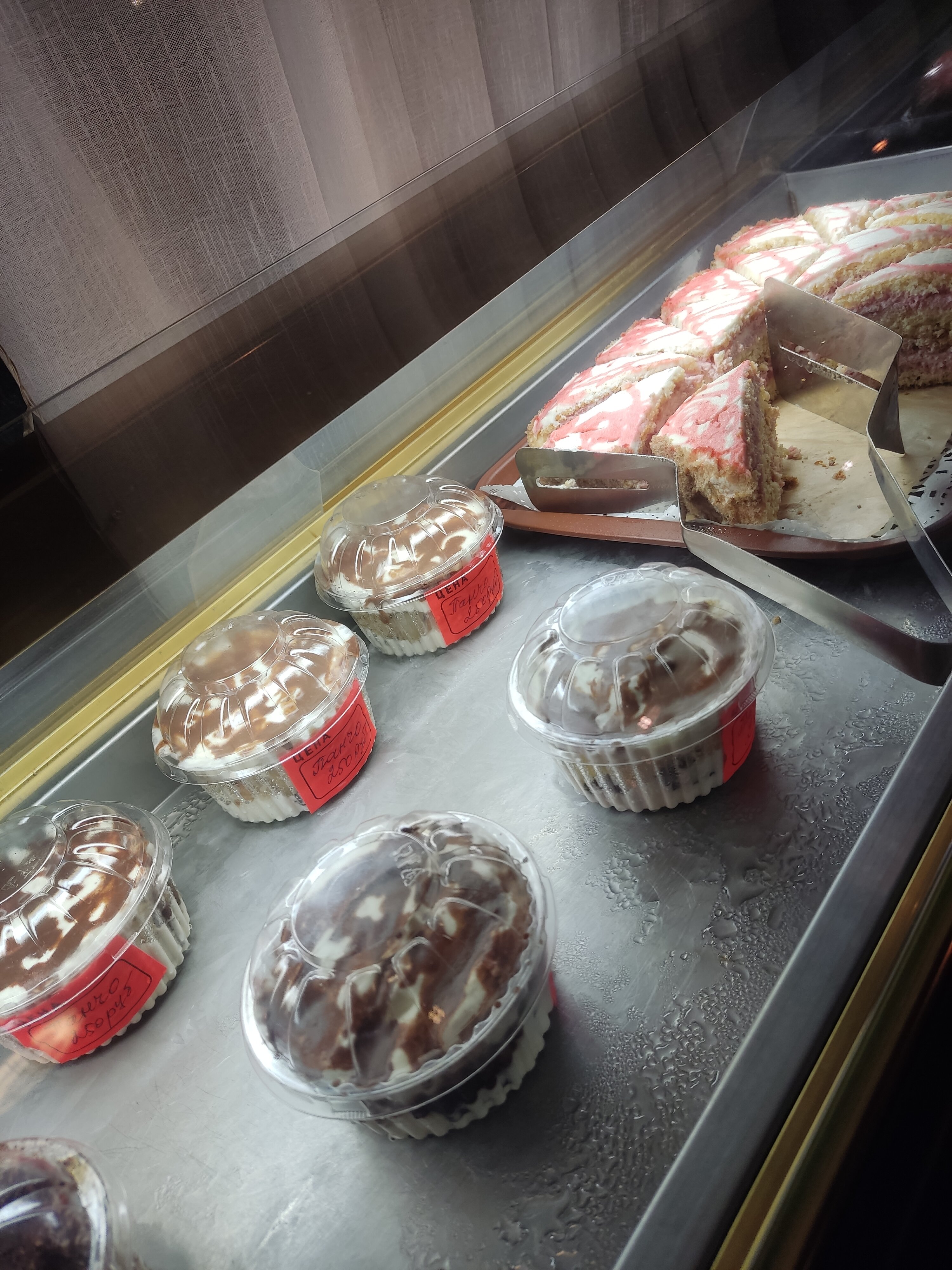 Фото Пальма