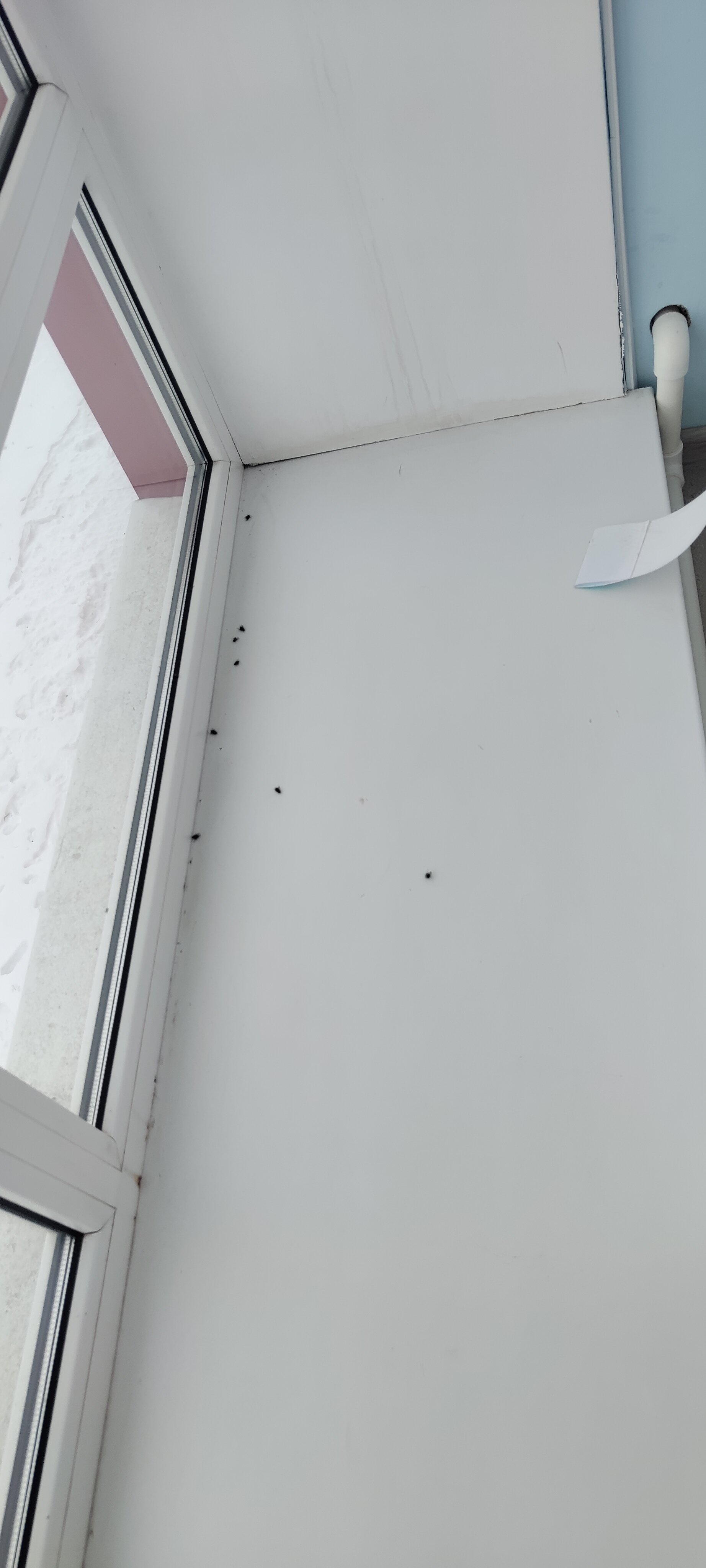 Фото Гостиный двор