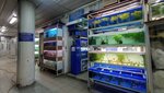 Arapaima-Style (MKAD, 14th kilometre, 23), pet shop