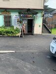 Русалочка (Sovetskaya Street, 13), bike rental