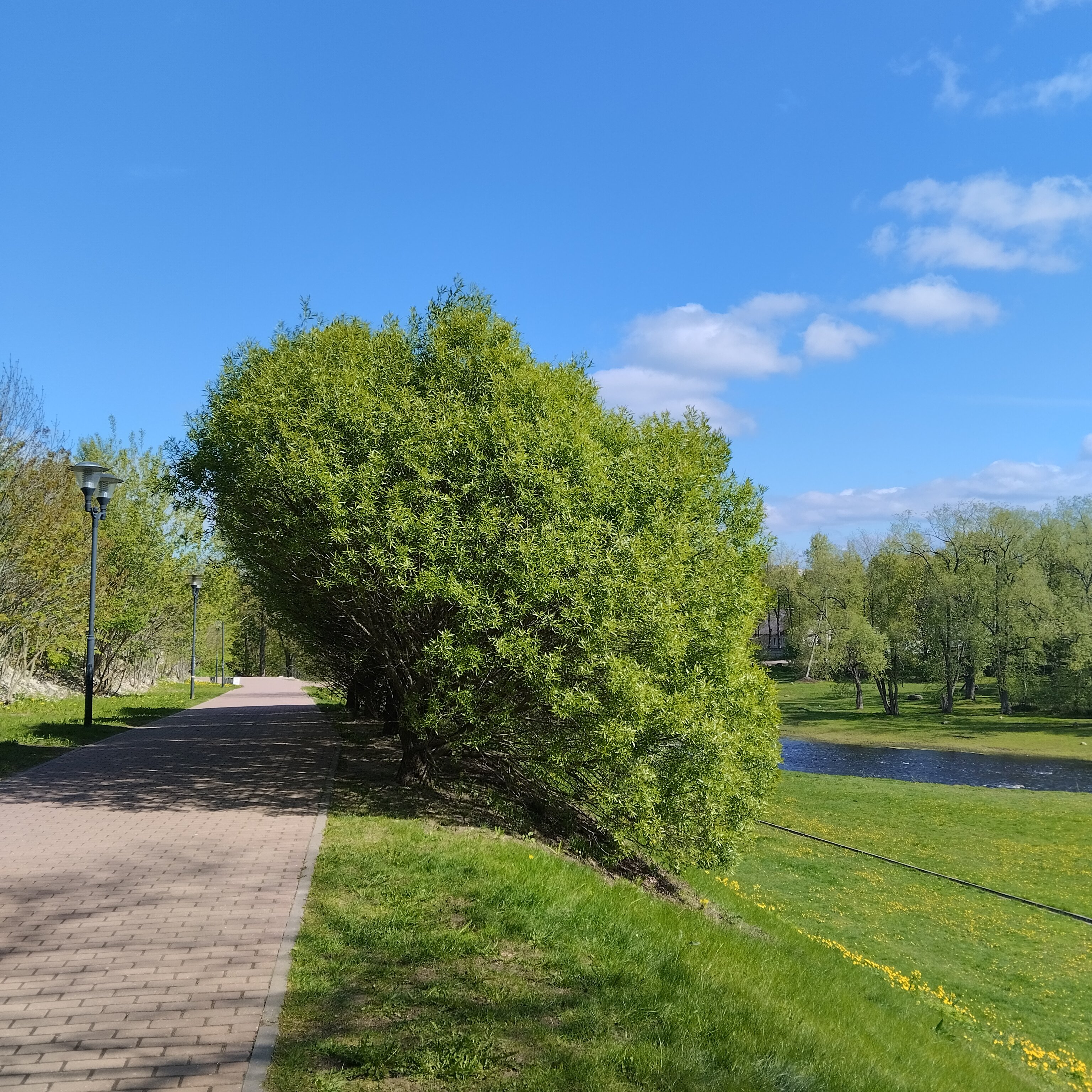 Фото Октябрьская