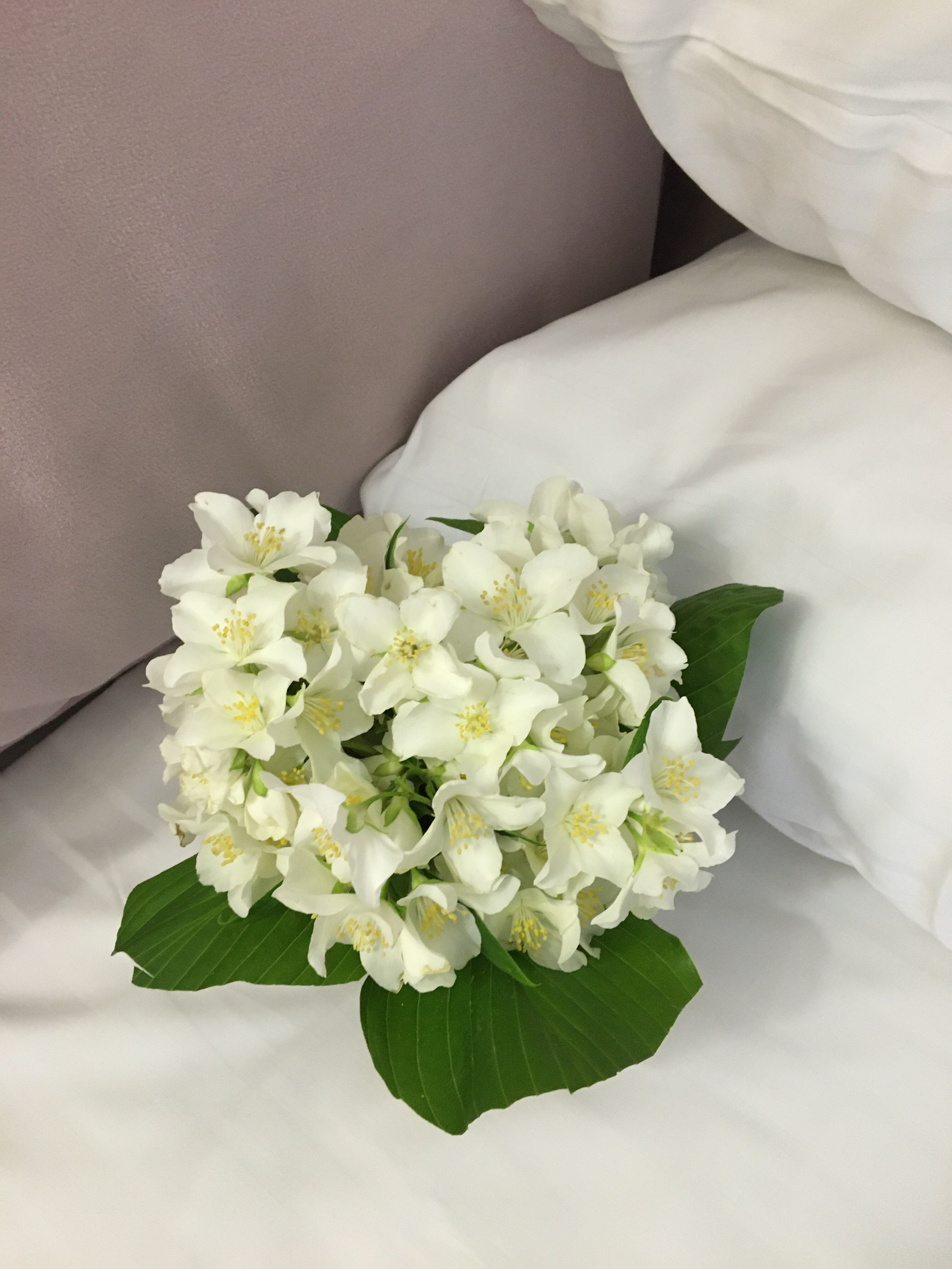 Фото Мадам Эль